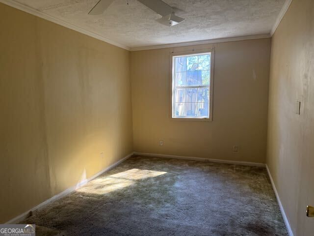 410 Spring Street Property Photo 15
