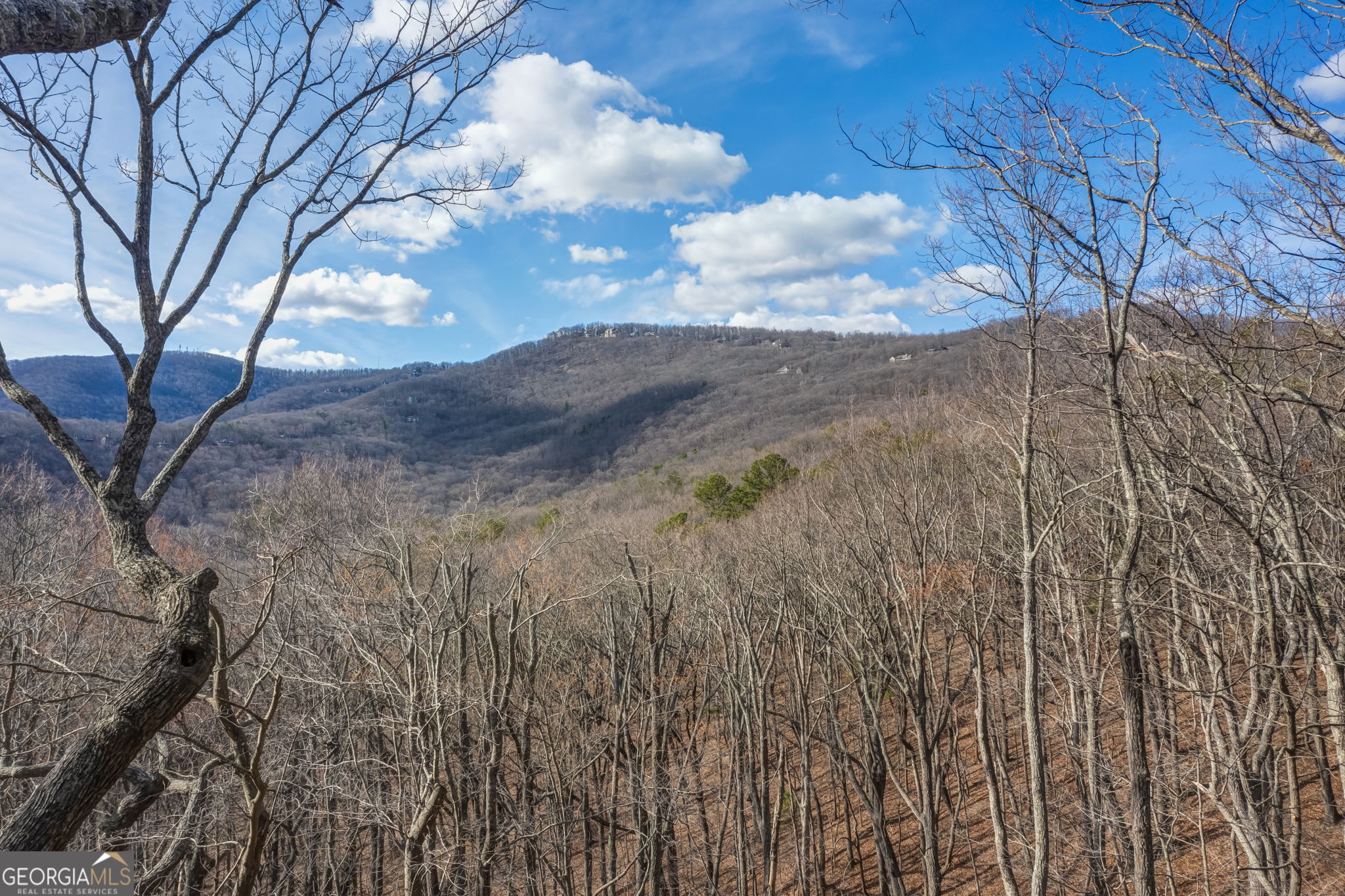 100 Indian Pipe Drive Property Photo 4