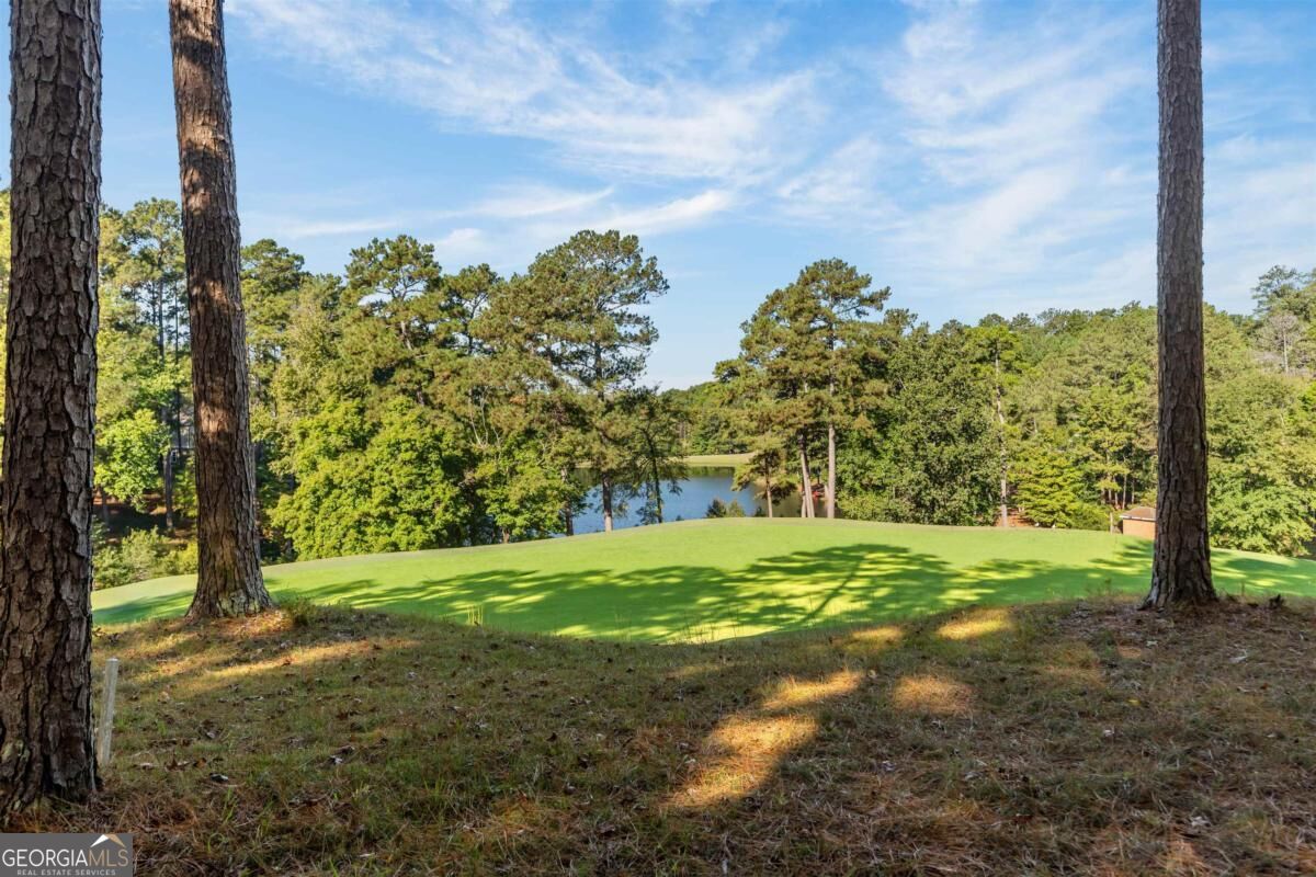 1181 Shoulder Bone Circle Property Photo 51