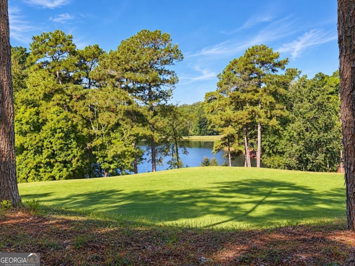 1181 Shoulder Bone Circle Property Photo 52