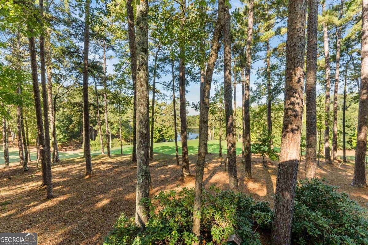 1181 Shoulder Bone Circle Property Photo 66