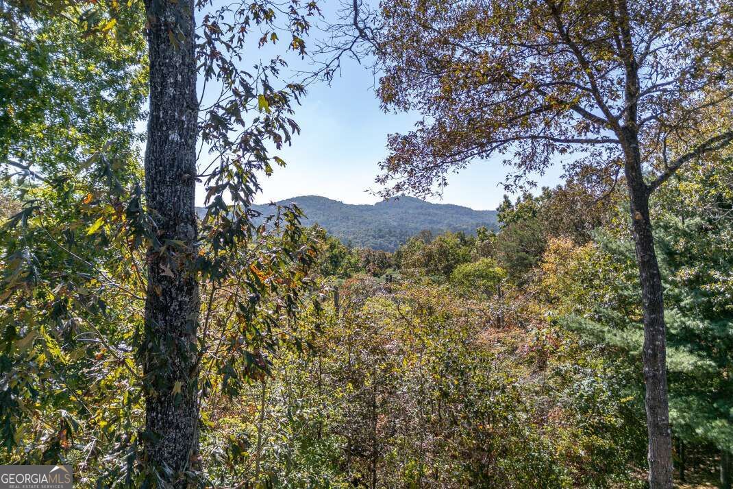 65 Knollwood Glen Property Photo 37