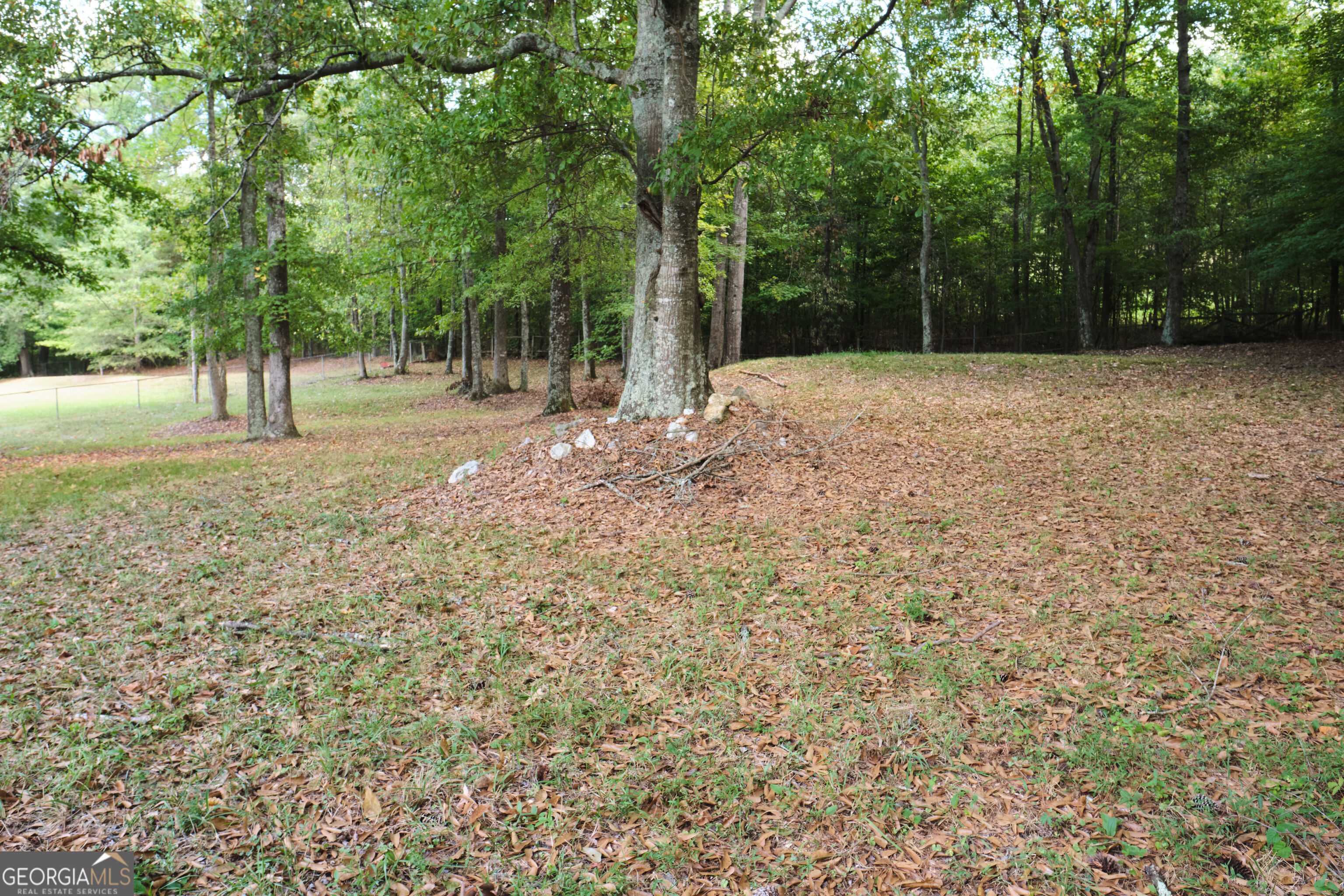 345 Old Rockmart Road Se Property Photo 37