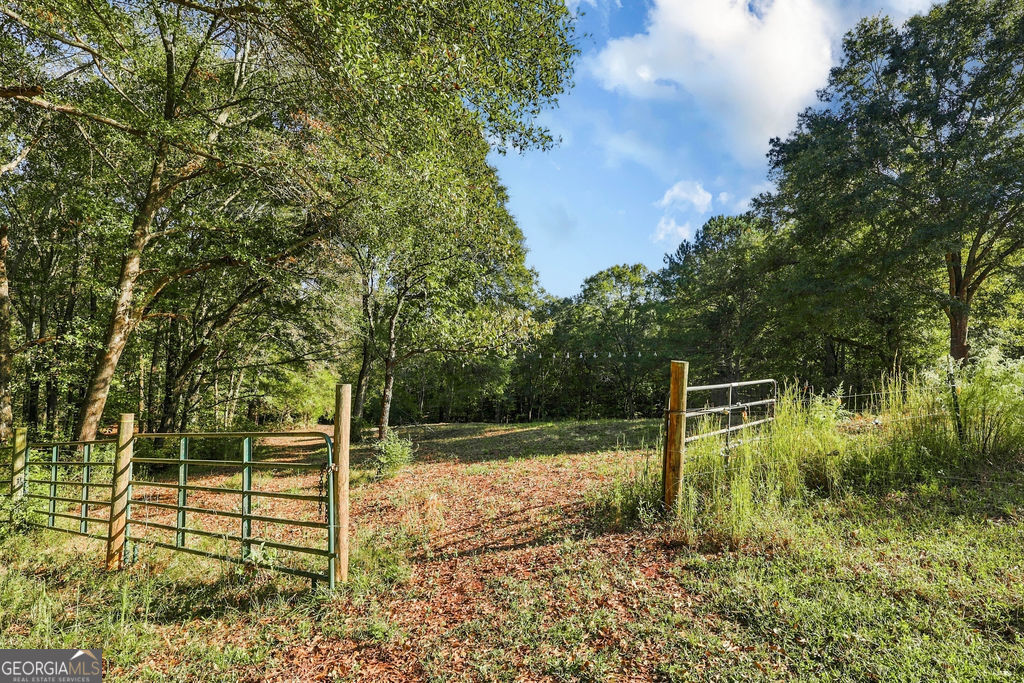 2459 Bear Creek Road Property Photo 42