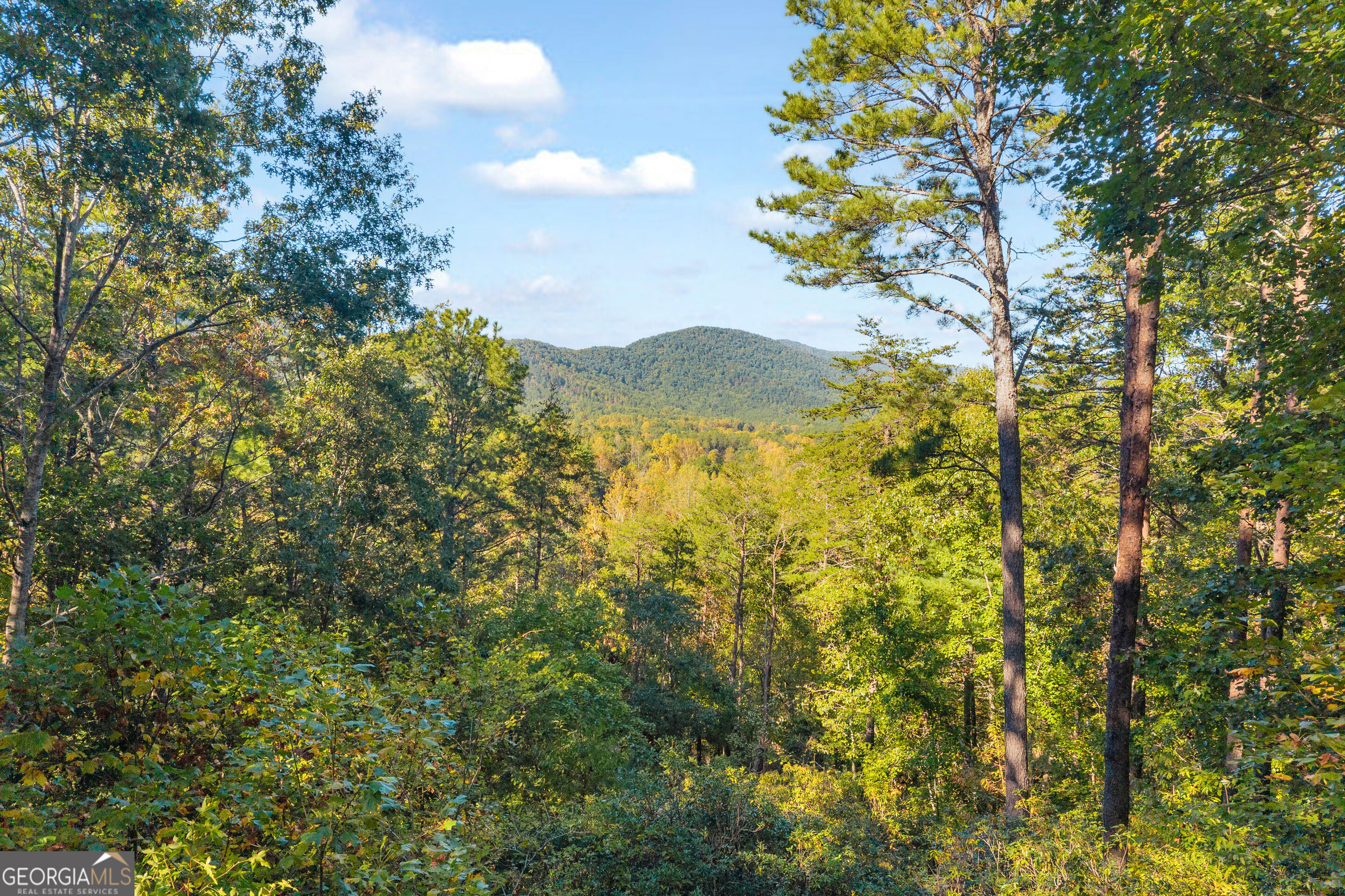 266 Miners Mountain Road Property Photo 3