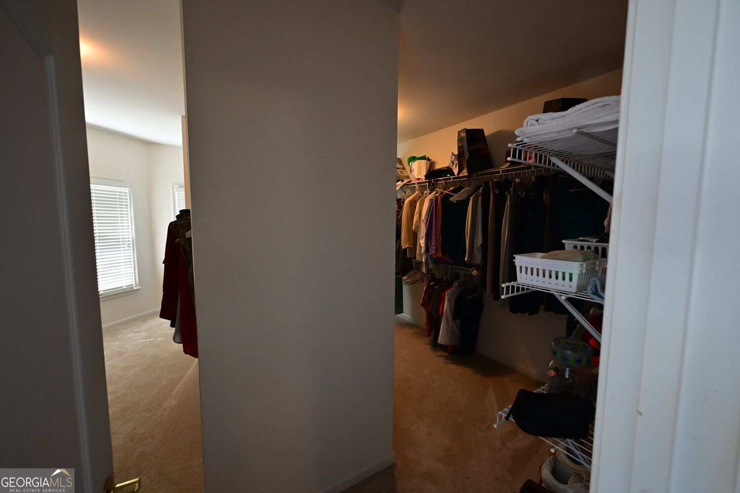3690 Hickory Branch Trail Property Photo 65