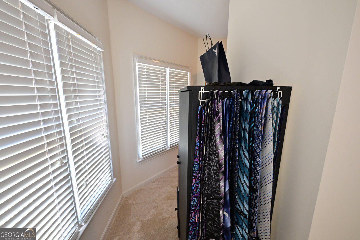 3690 Hickory Branch Trail Property Photo 66
