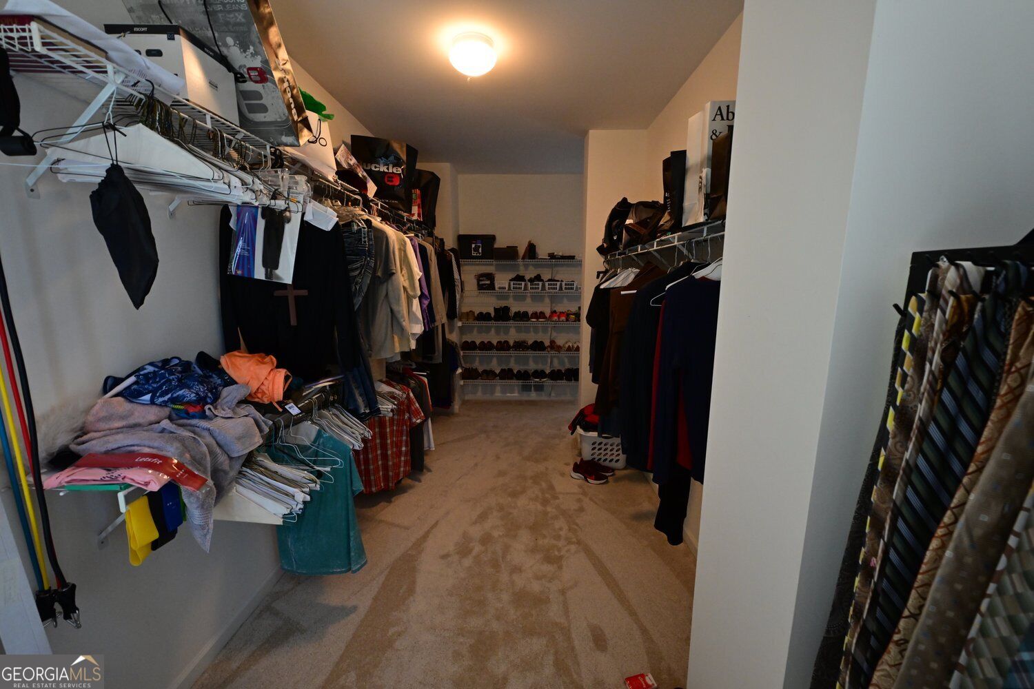 3690 Hickory Branch Trail Property Photo 67