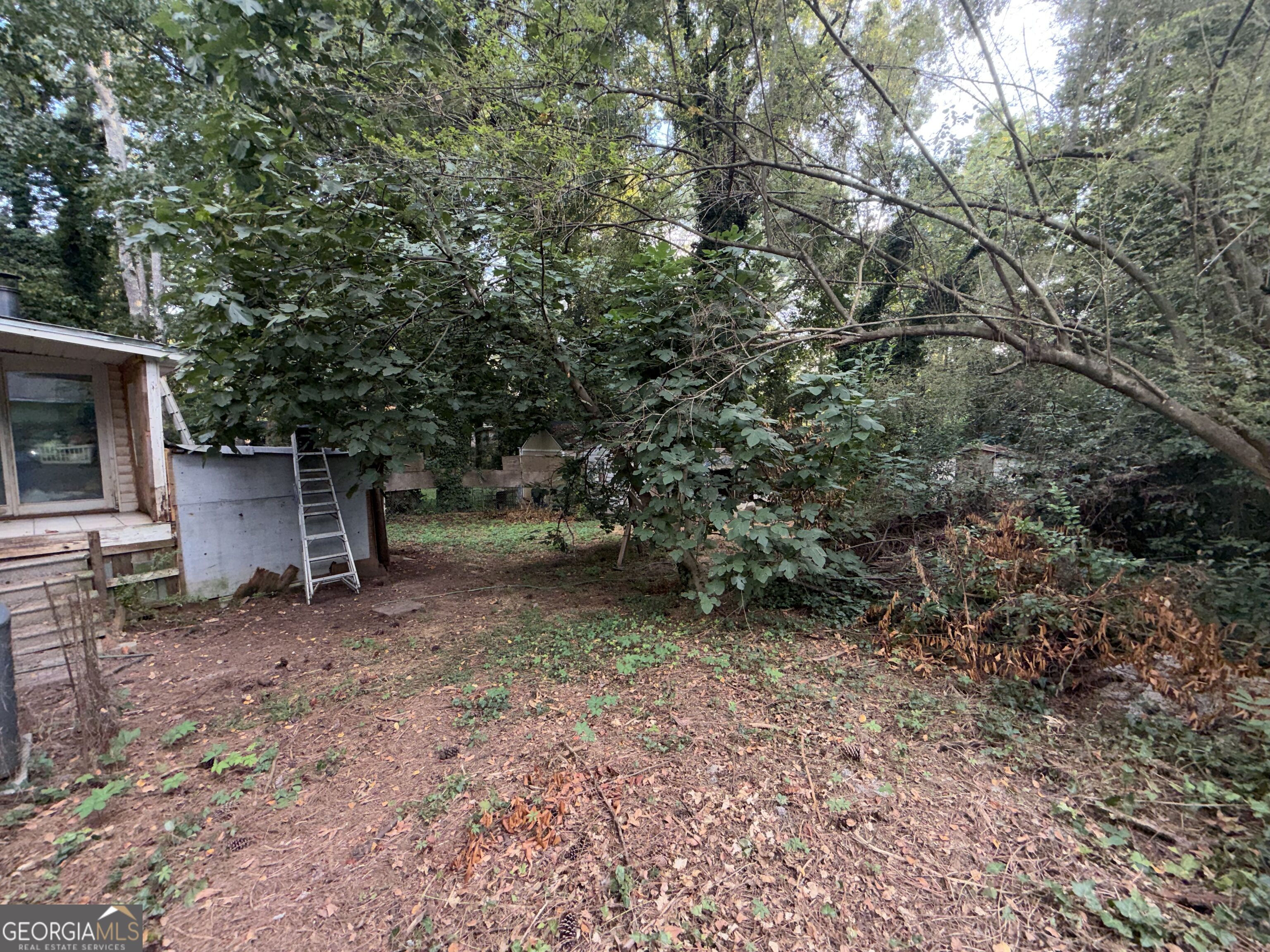 4429 Glade Road Property Photo 27