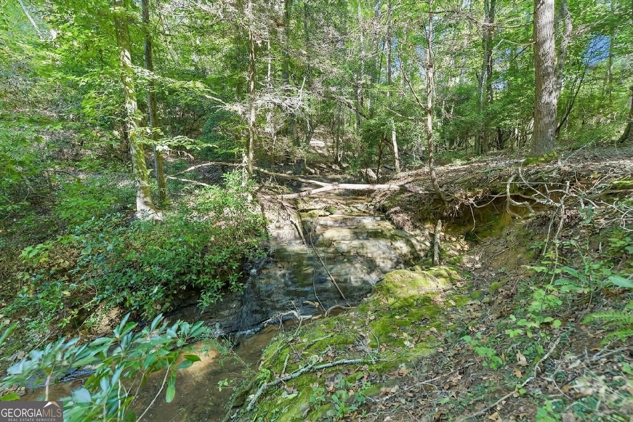 231 Hatfield Grove Property Photo 43
