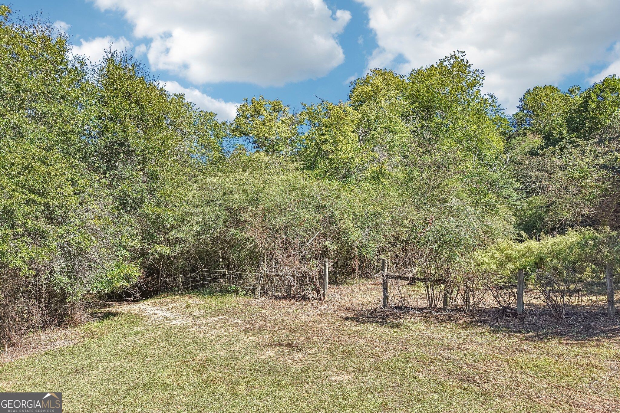 231 Hatfield Grove Property Photo 61