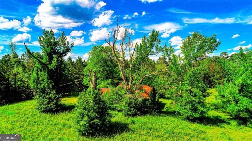 4209 Giverny Boulevard Property Photo 19