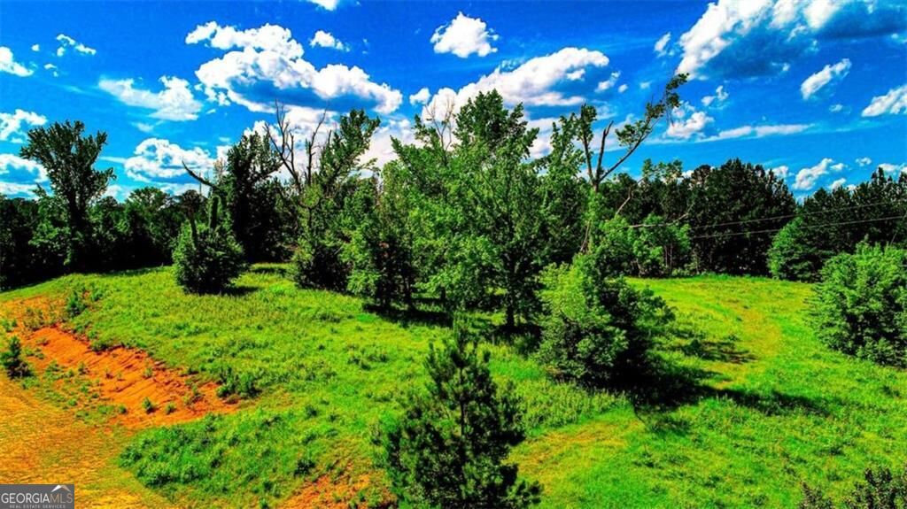 4209 Giverny Boulevard Property Photo 20
