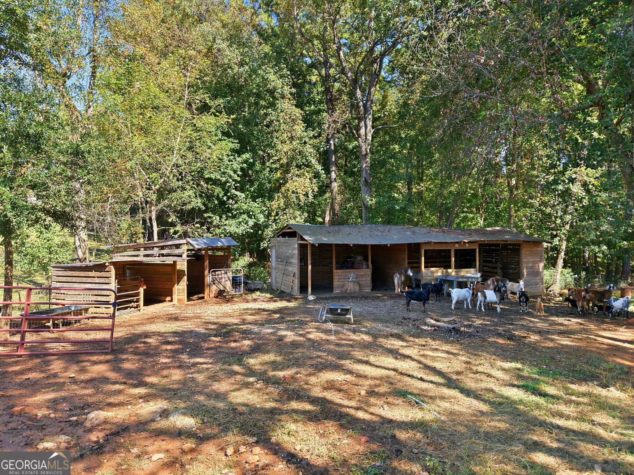 6140 Cartersville Highway Property Photo 17