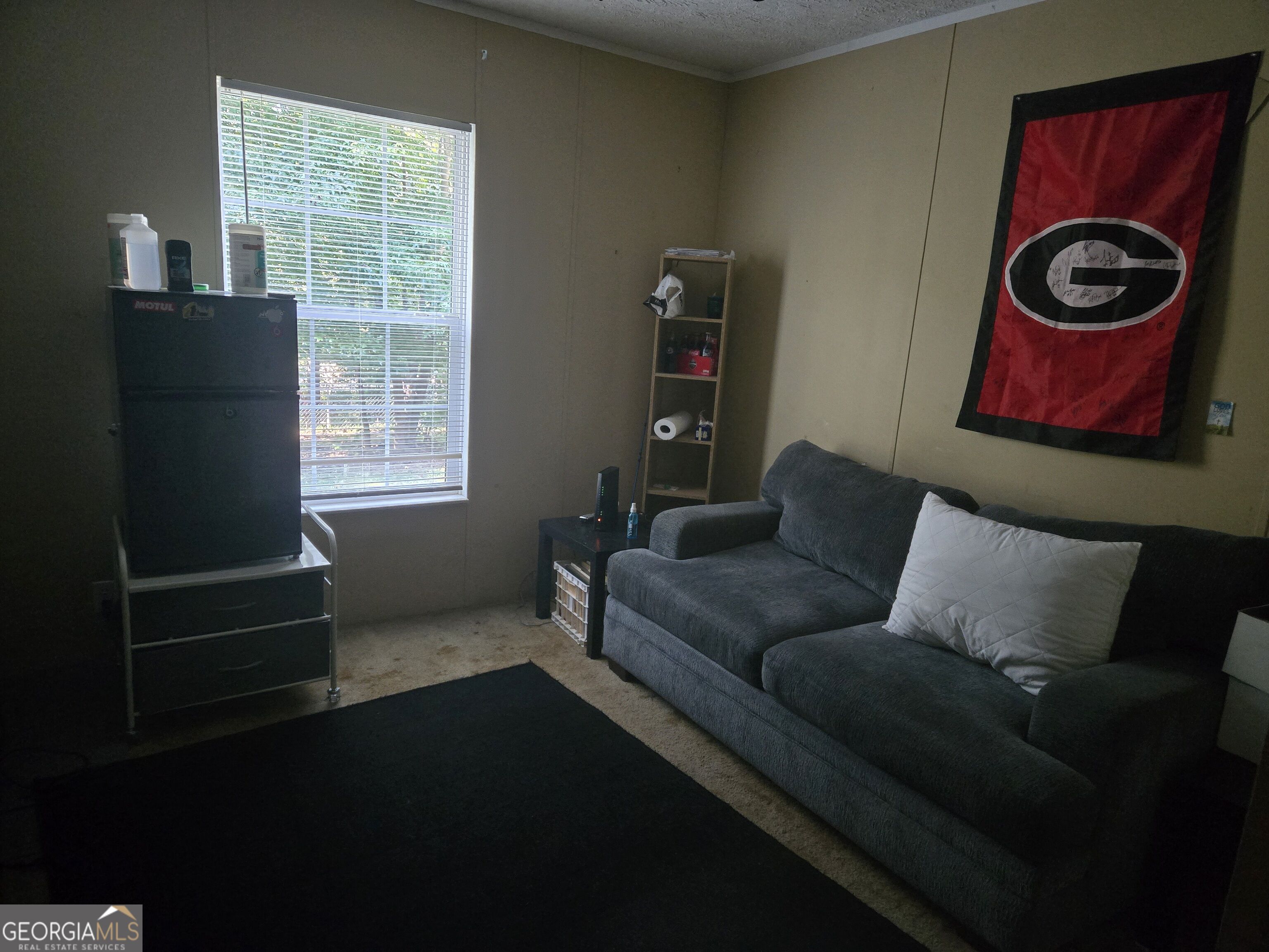 227 Cherokee Forest Park Drive Property Photo 5
