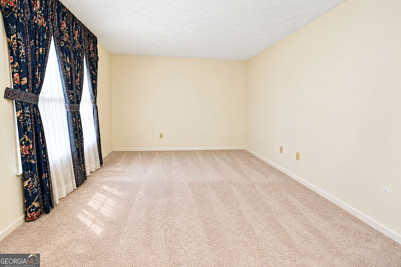 4472 Woodland Forest Drive Property Photo 6