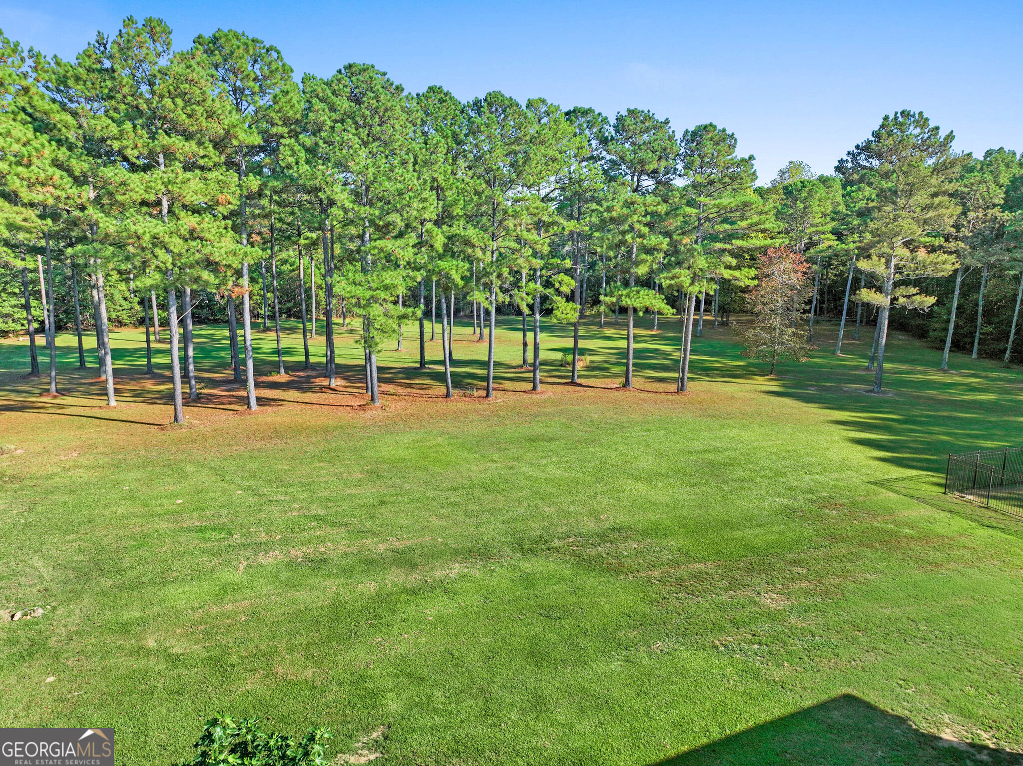265 Blossom Ridge Trail Property Photo 80