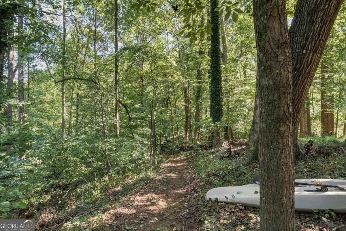 8965 Old Keith Bridge Road Property Photo 51