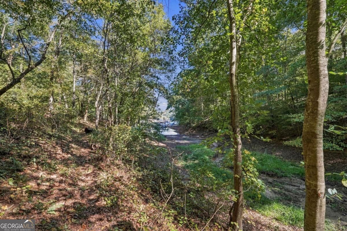 8965 Old Keith Bridge Road Property Photo 54
