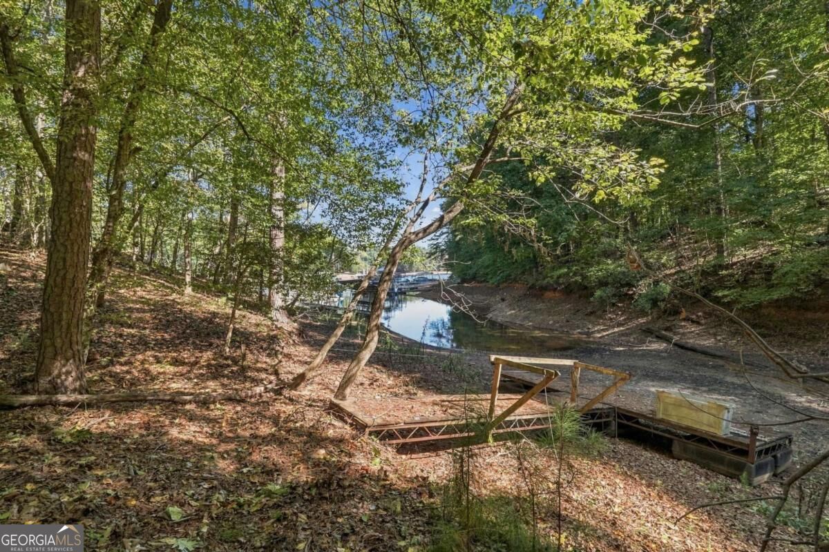 8965 Old Keith Bridge Road Property Photo 56