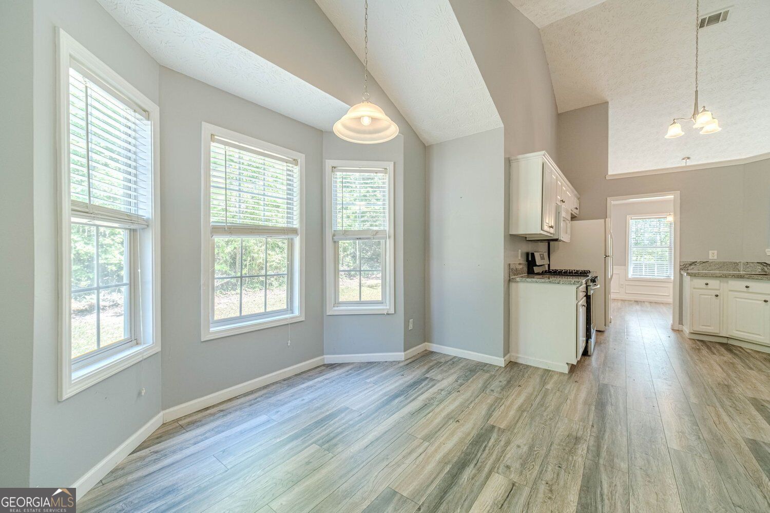 1617 Amhearst Walk Road Property Photo 15