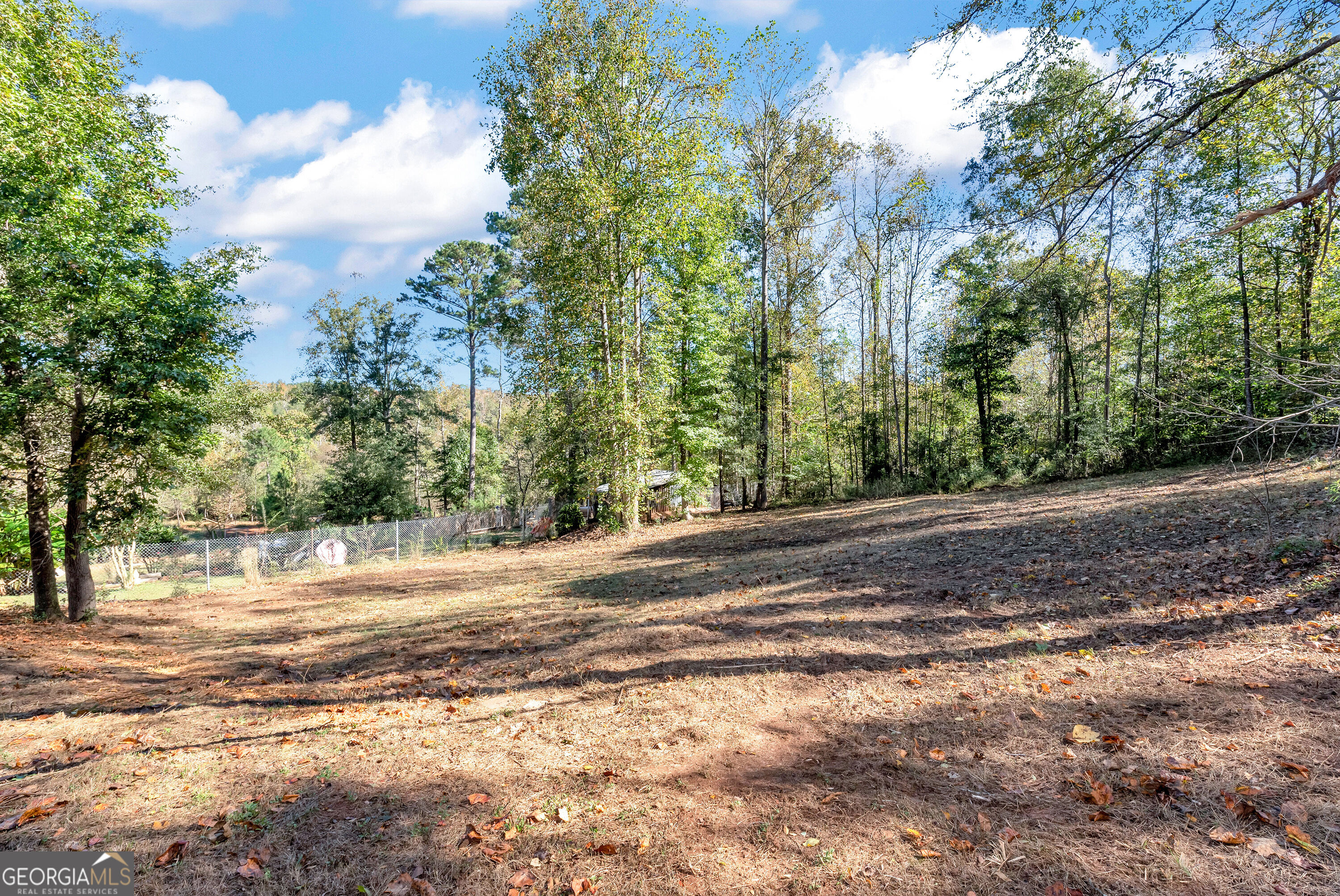 1123 Ravenwood Drive Property Photo 52