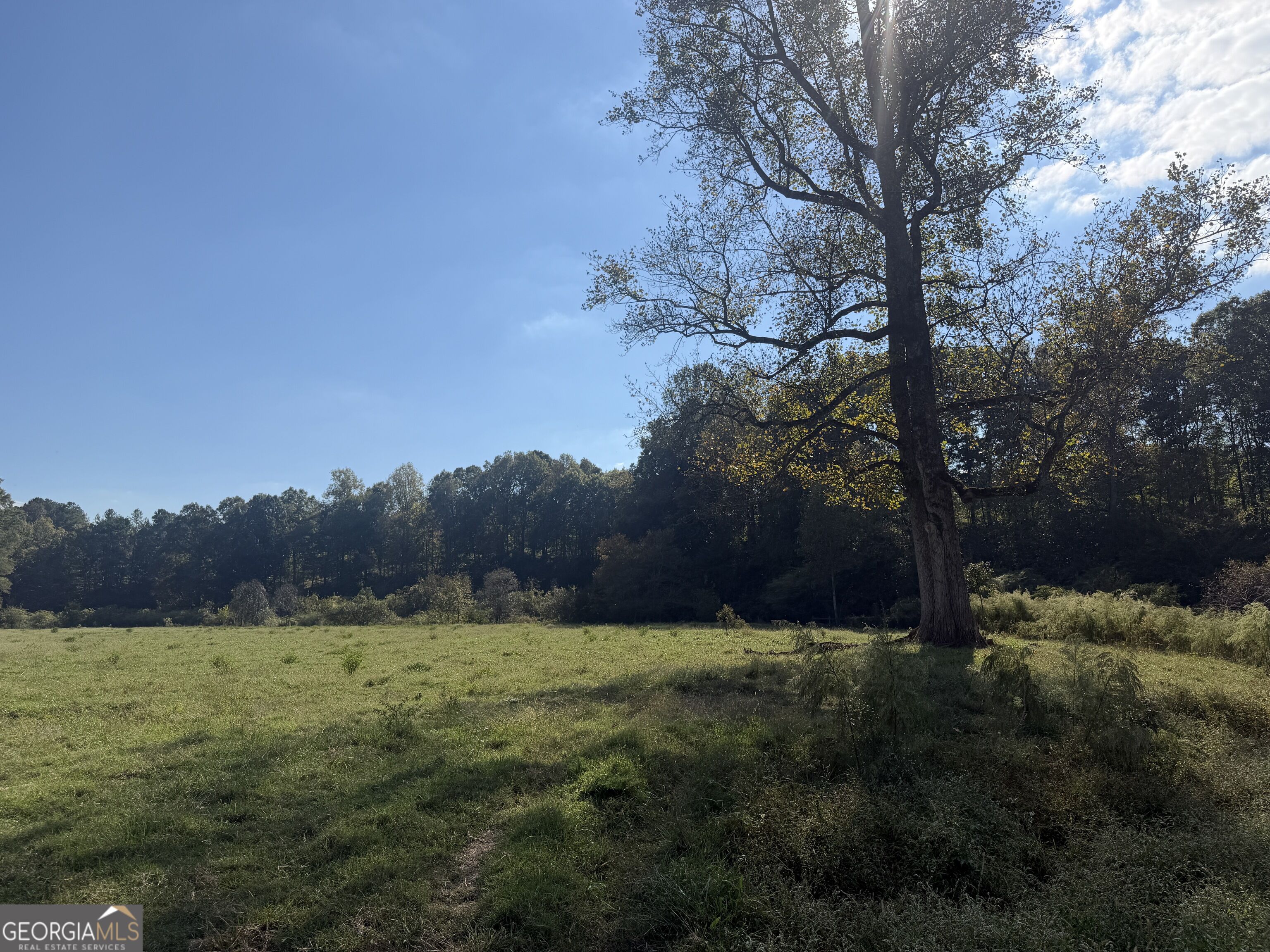 541 Addison Road Property Photo 14