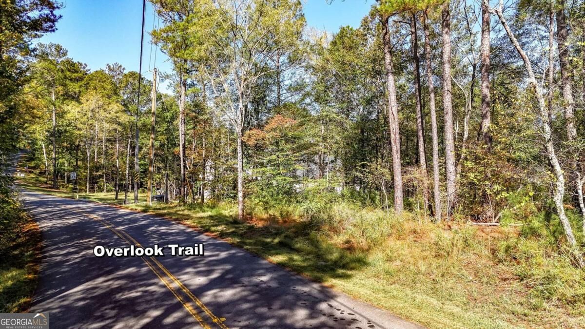 1135 Overlook Trail Property Photo 8