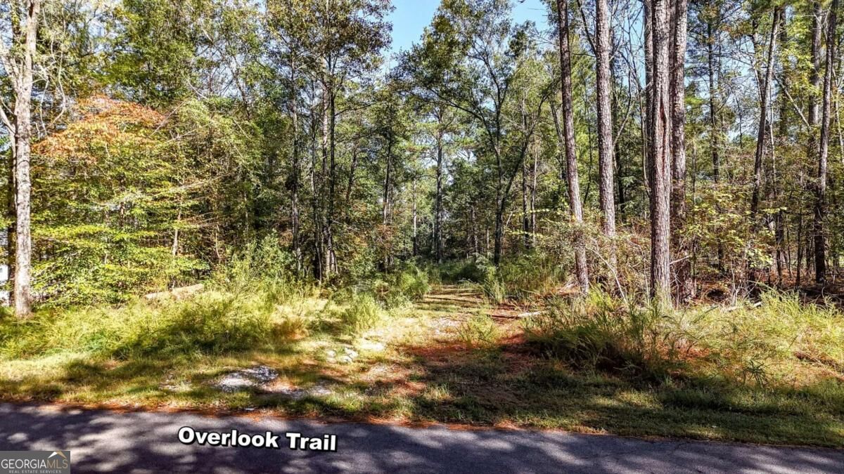 1135 Overlook Trail Property Photo 9