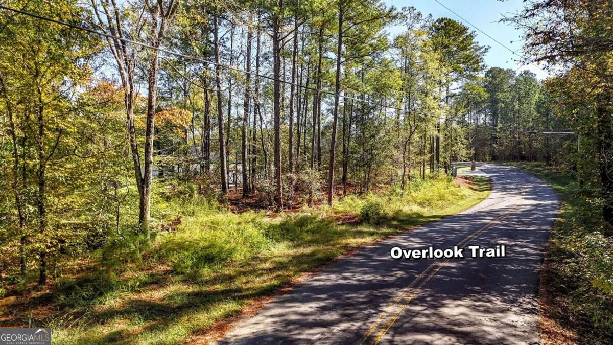 1135 Overlook Trail Property Photo 10
