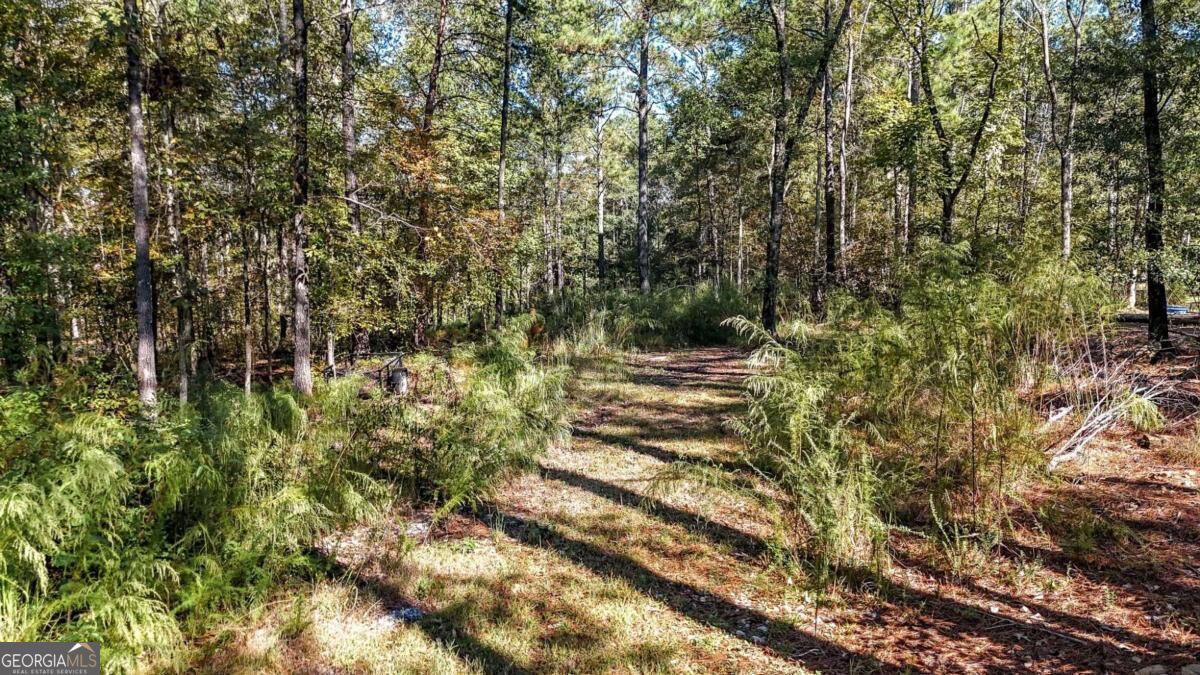 1135 Overlook Trail Property Photo 11