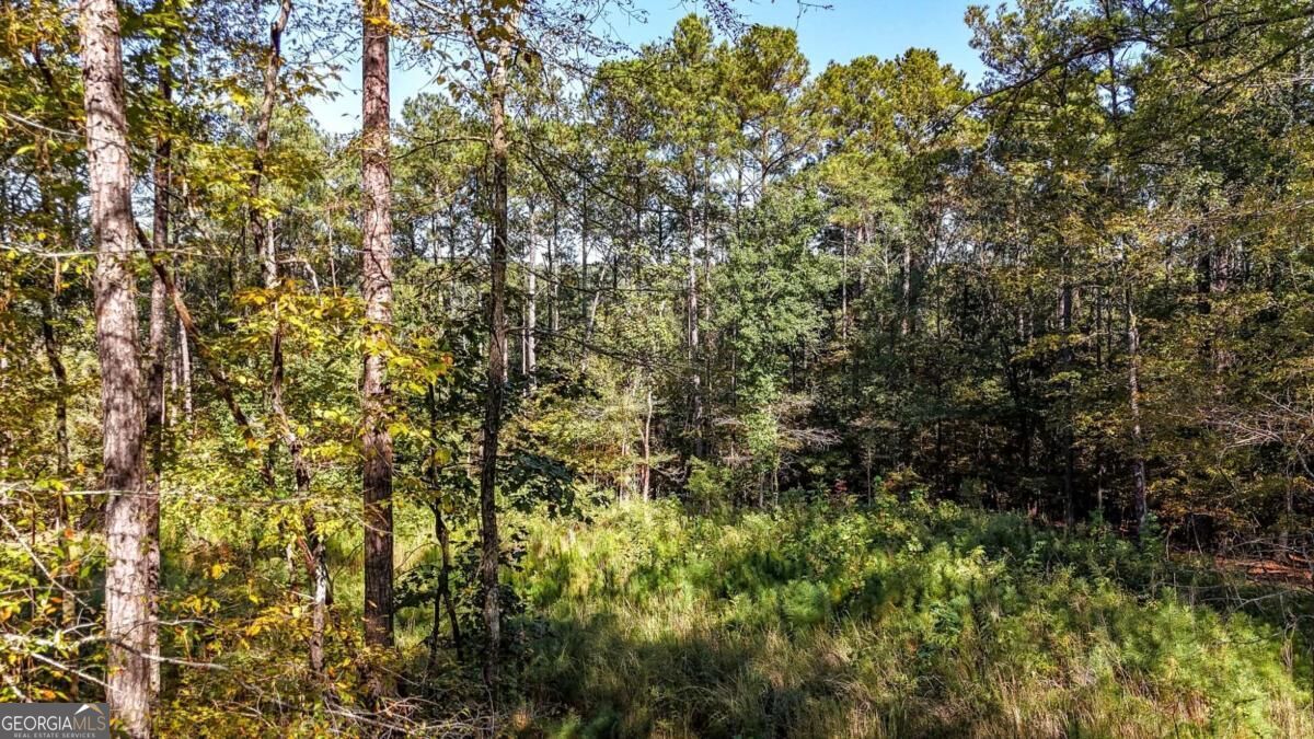 1135 Overlook Trail Property Photo 19