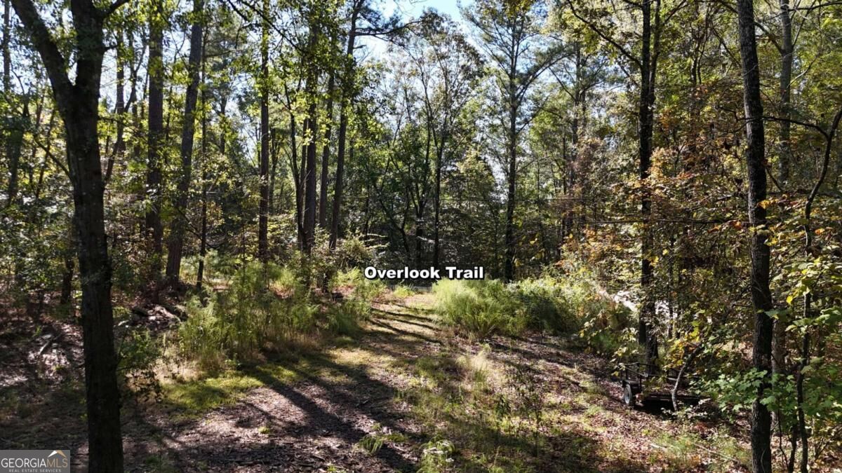 1135 Overlook Trail Property Photo 20