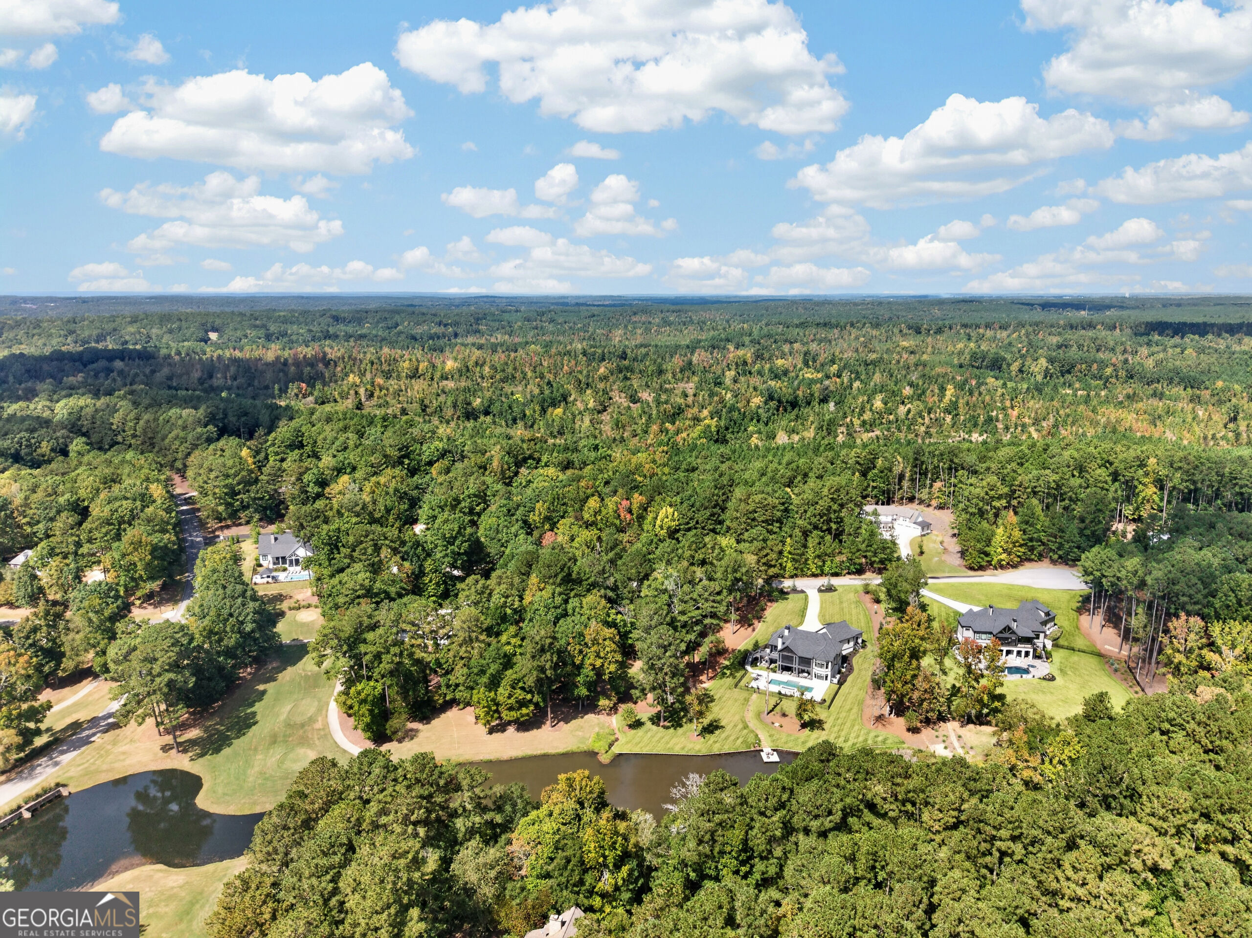 1041 Forrest Highlands Property Photo 98
