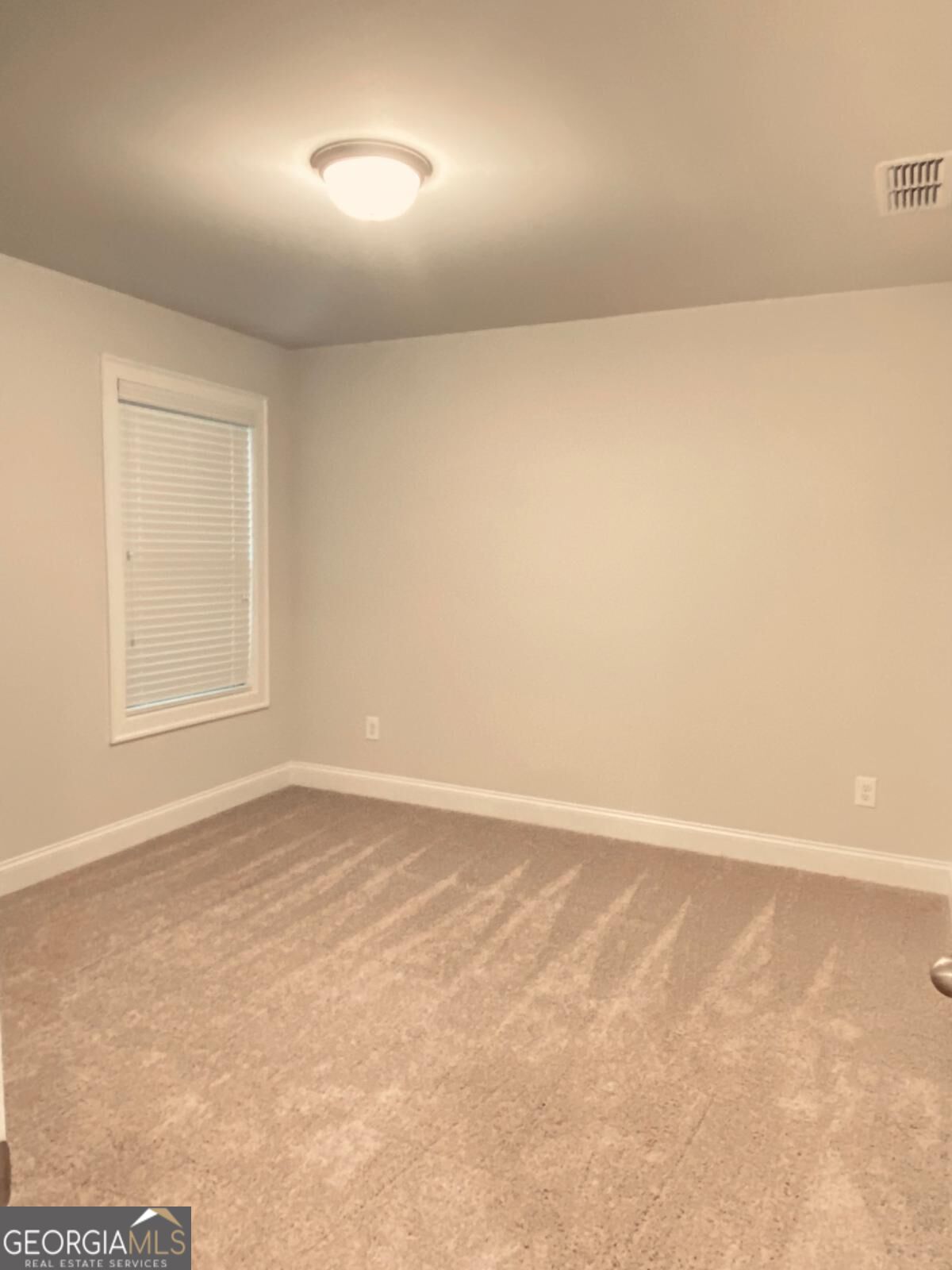 3290 Summerpoint Crossing Property Photo 32