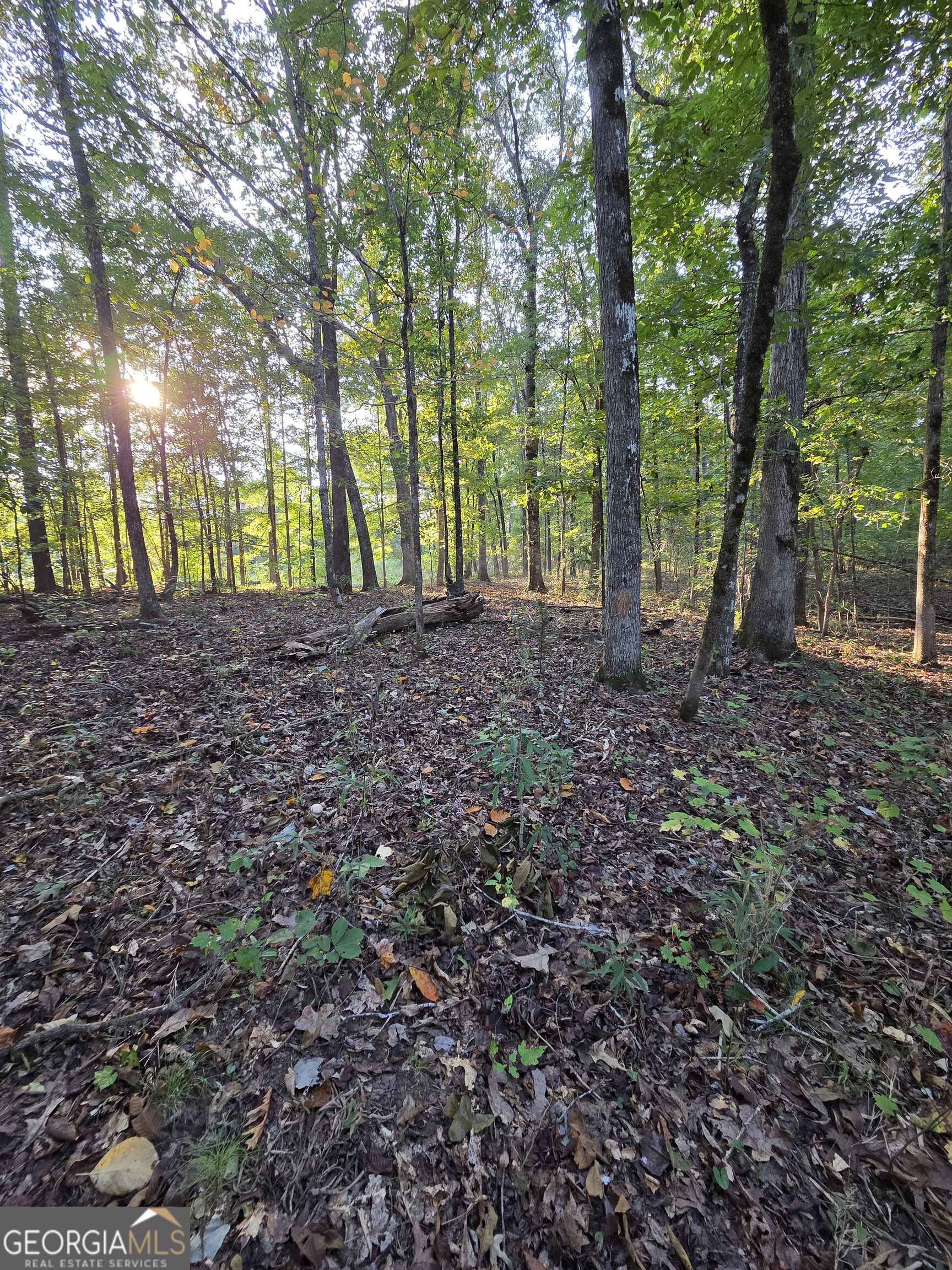 0 Vickers Road Property Photo 8