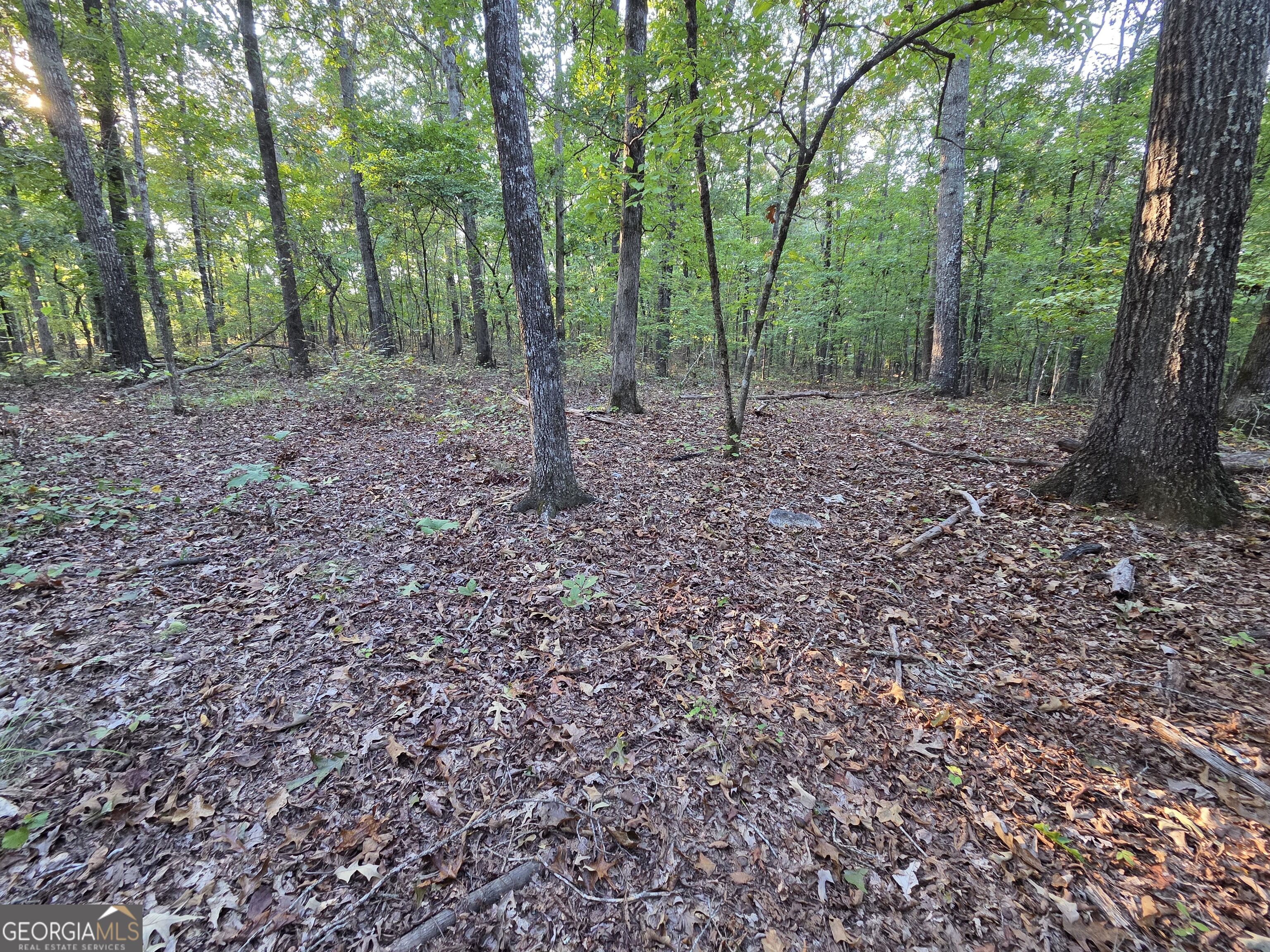 0 Vickers Road Property Photo 11
