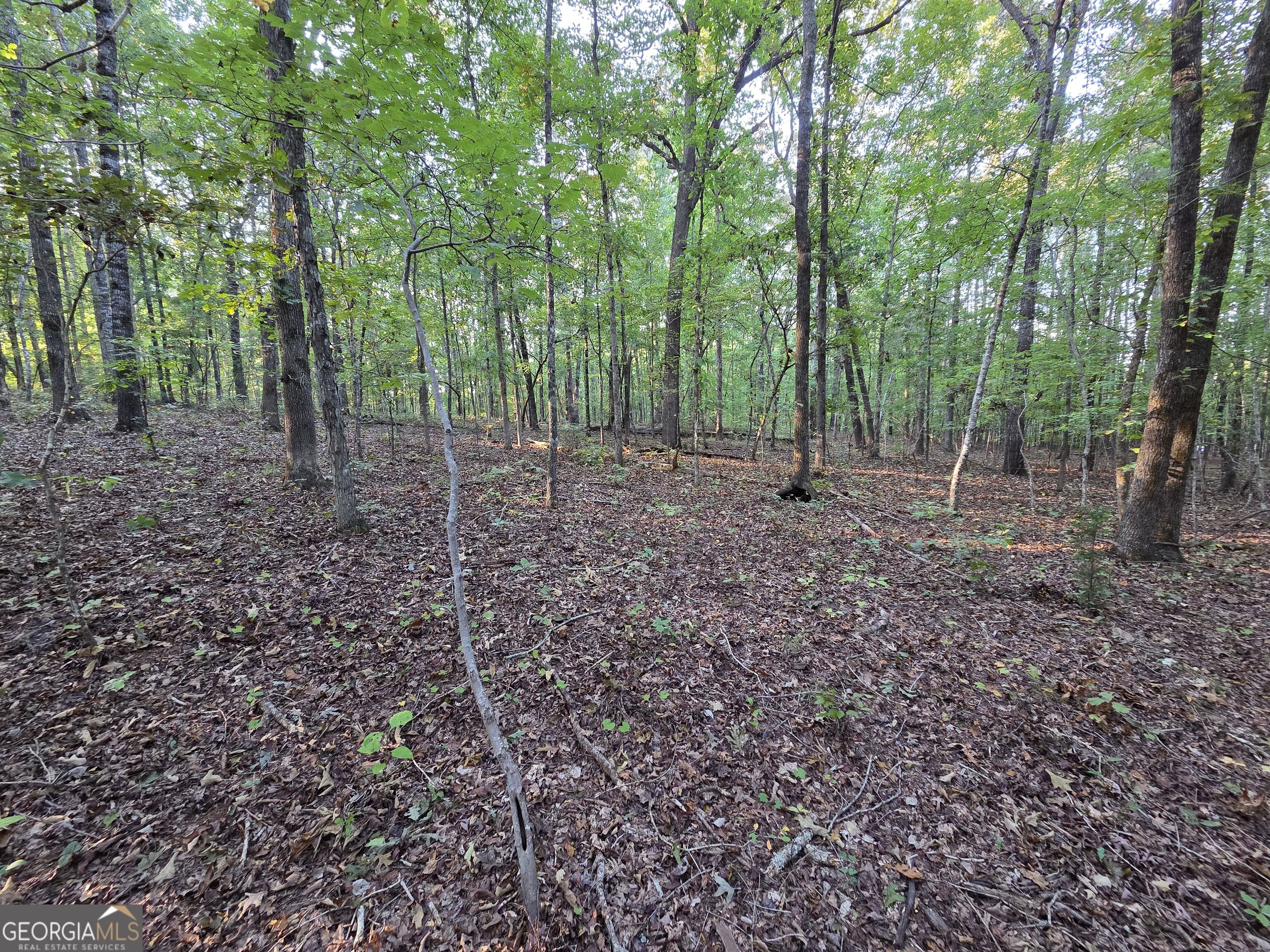 0 Vickers Road Property Photo 12