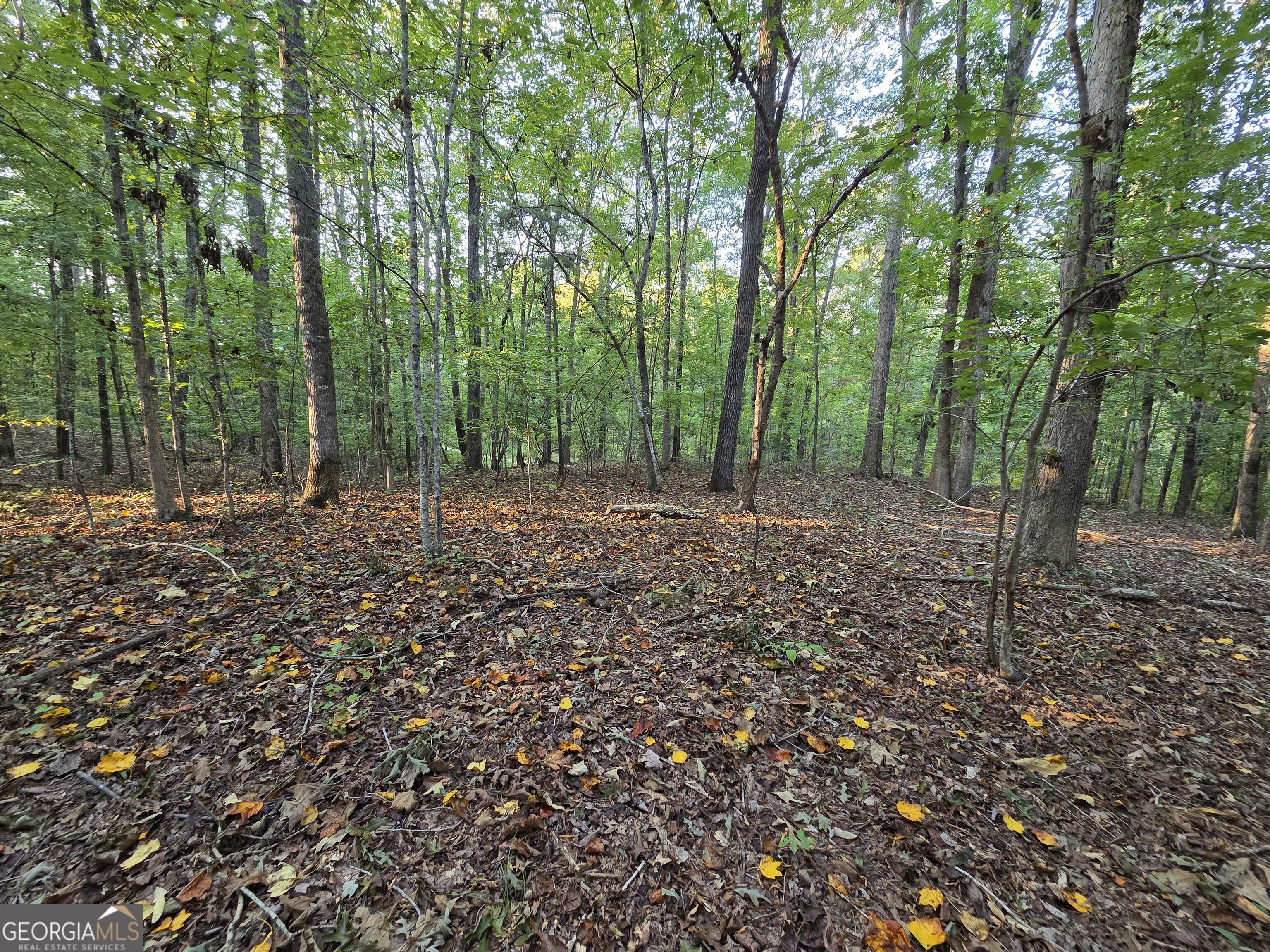 0 Vickers Road Property Photo 14