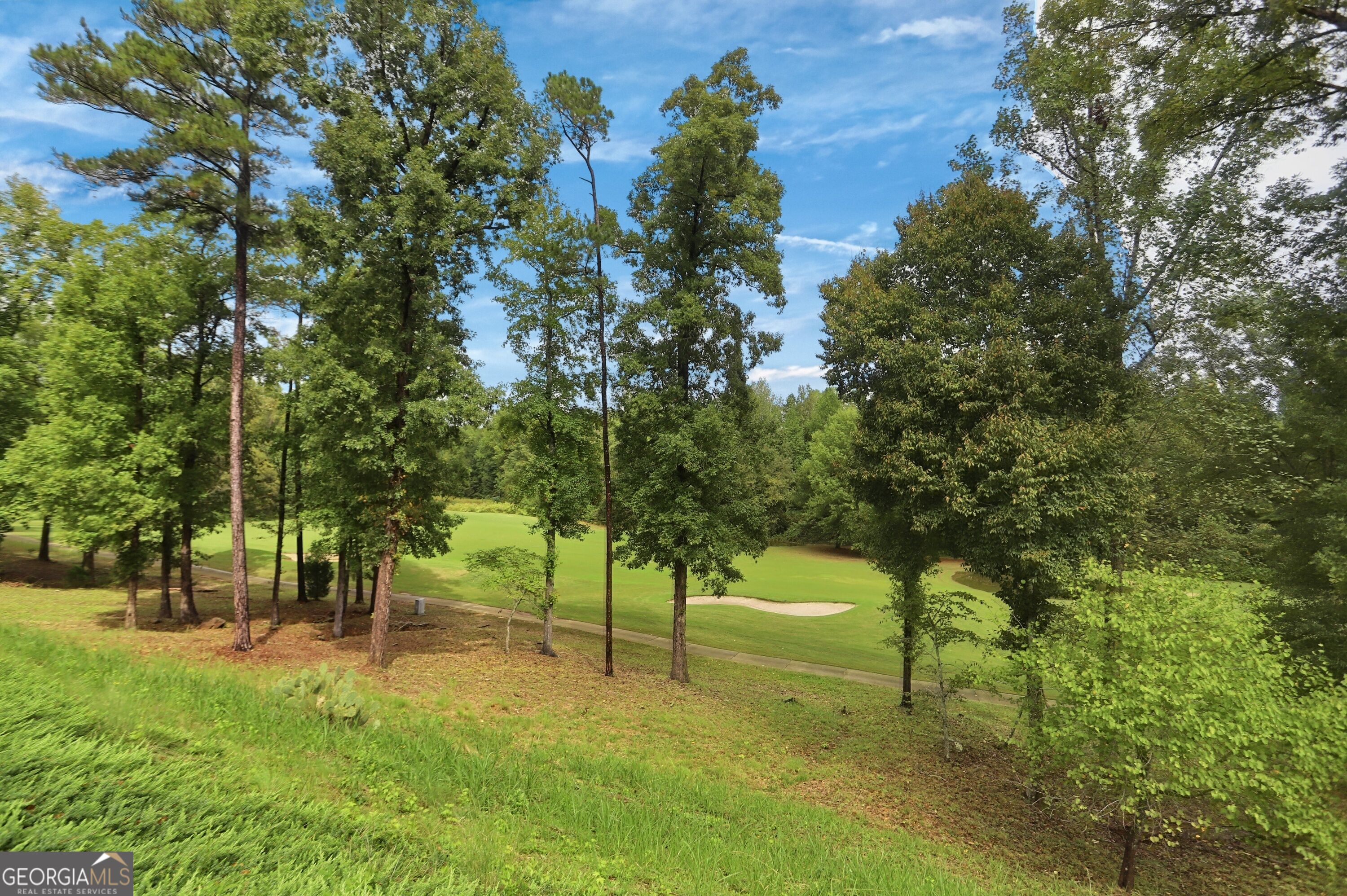 443 Tallulah Drive Property Photo 43