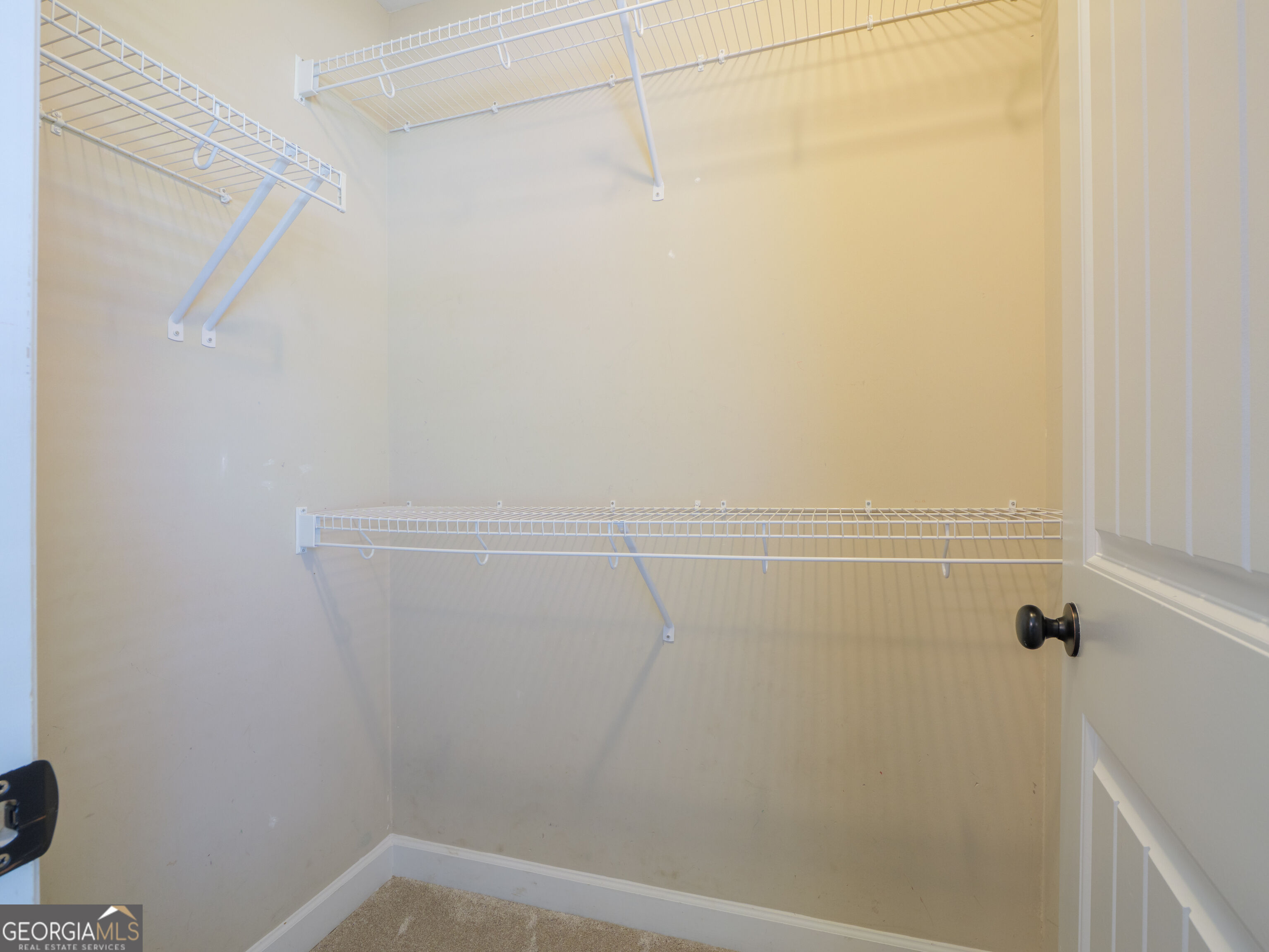 874 Water Cress Way Property Photo 28