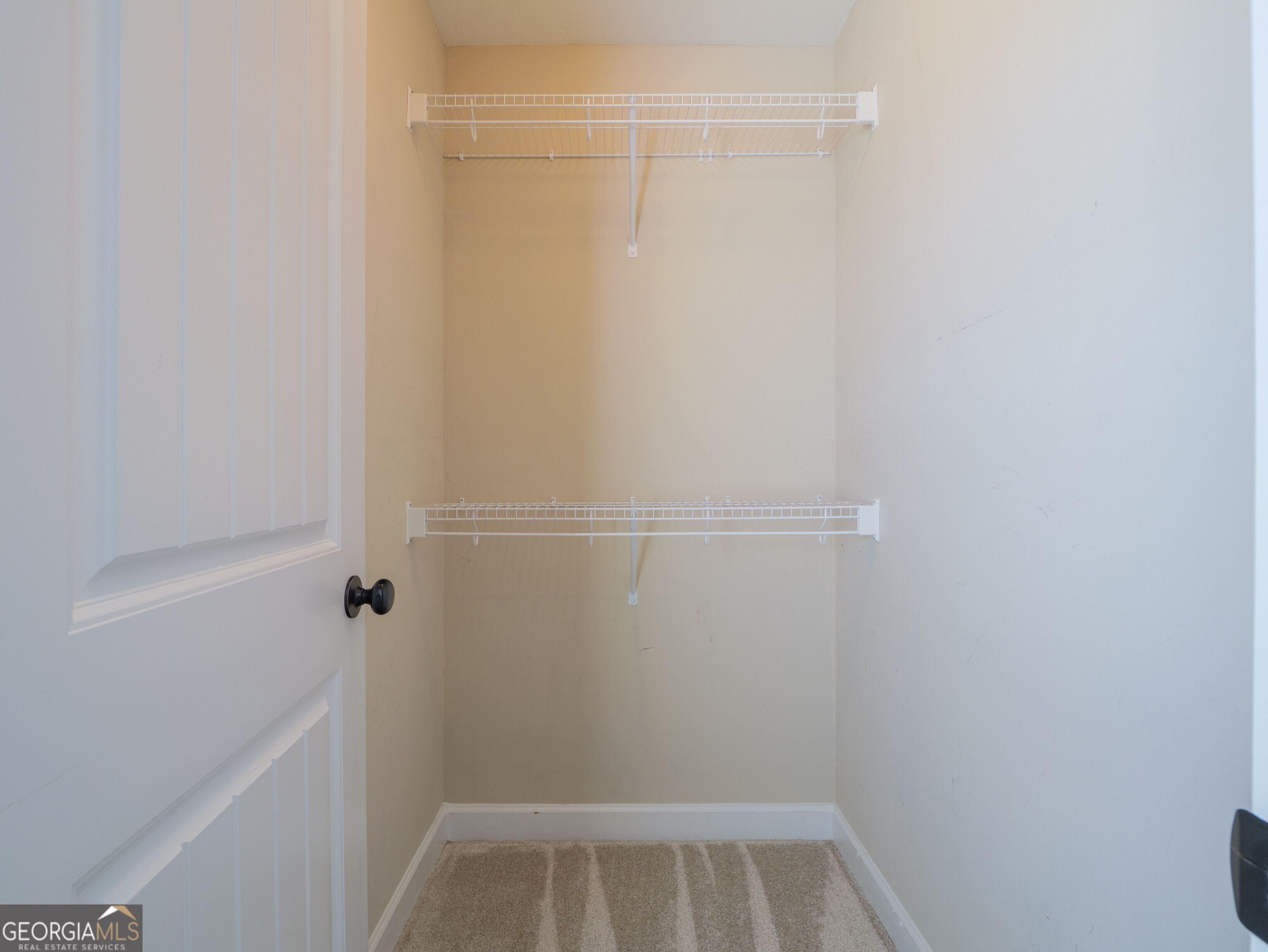 874 Water Cress Way Property Photo 31