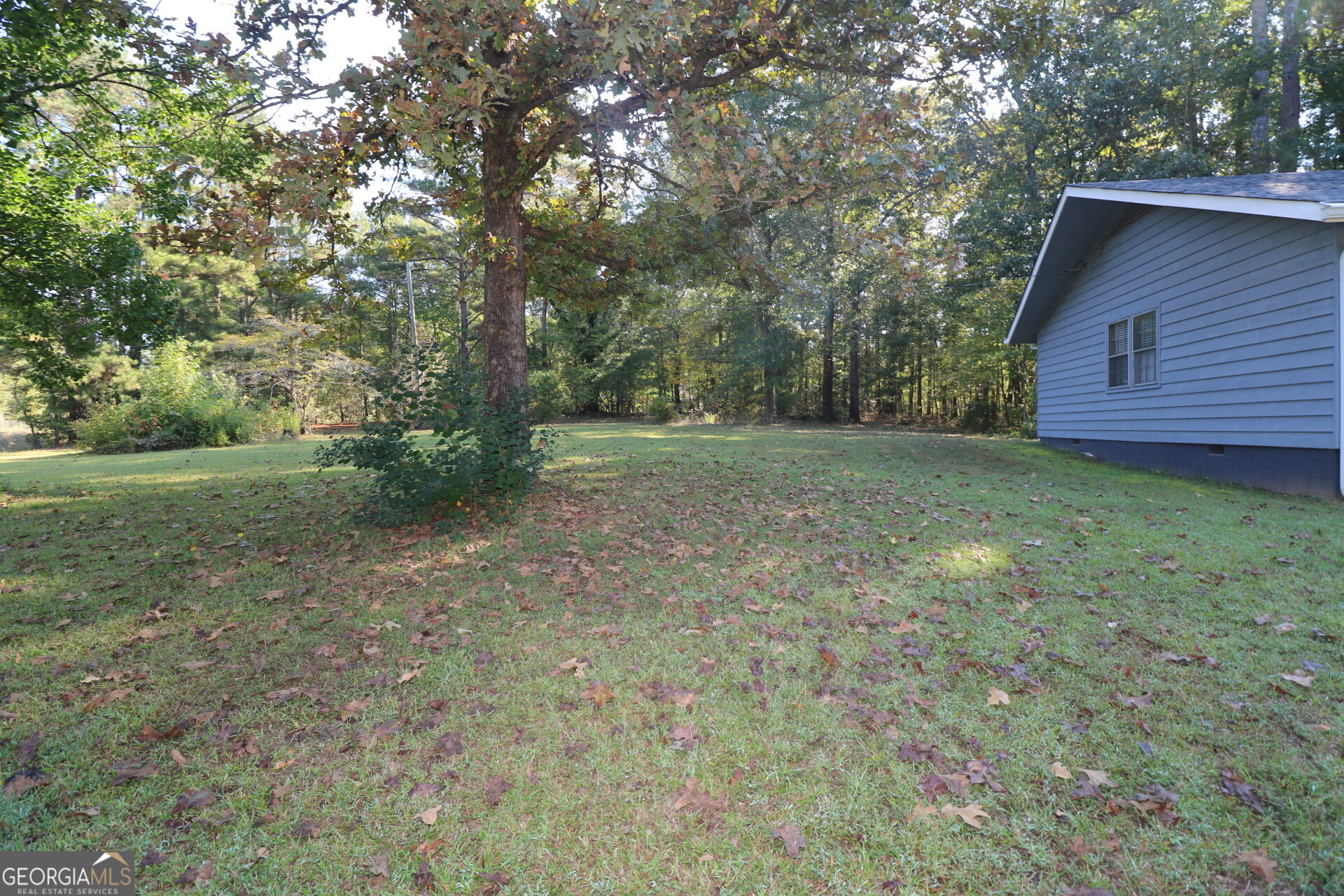 351 Mundys Mill Road Property Photo 32