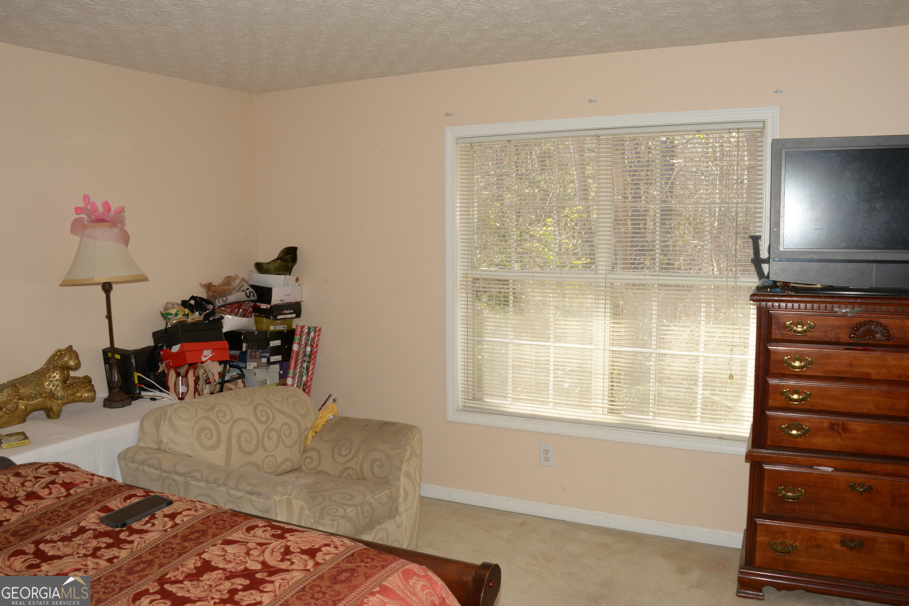 3013 Pommel Court Property Photo 13