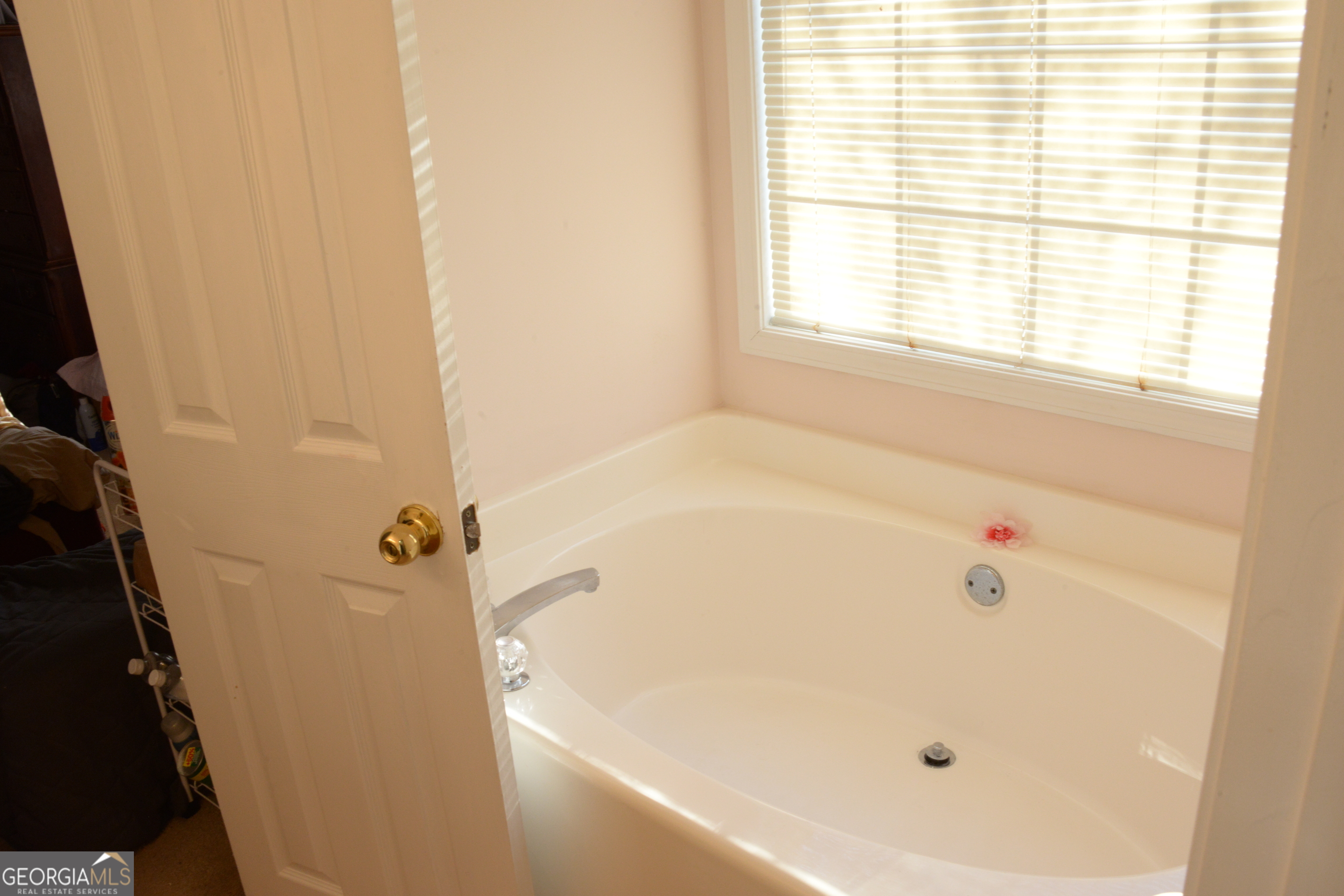 3013 Pommel Court Property Photo 14