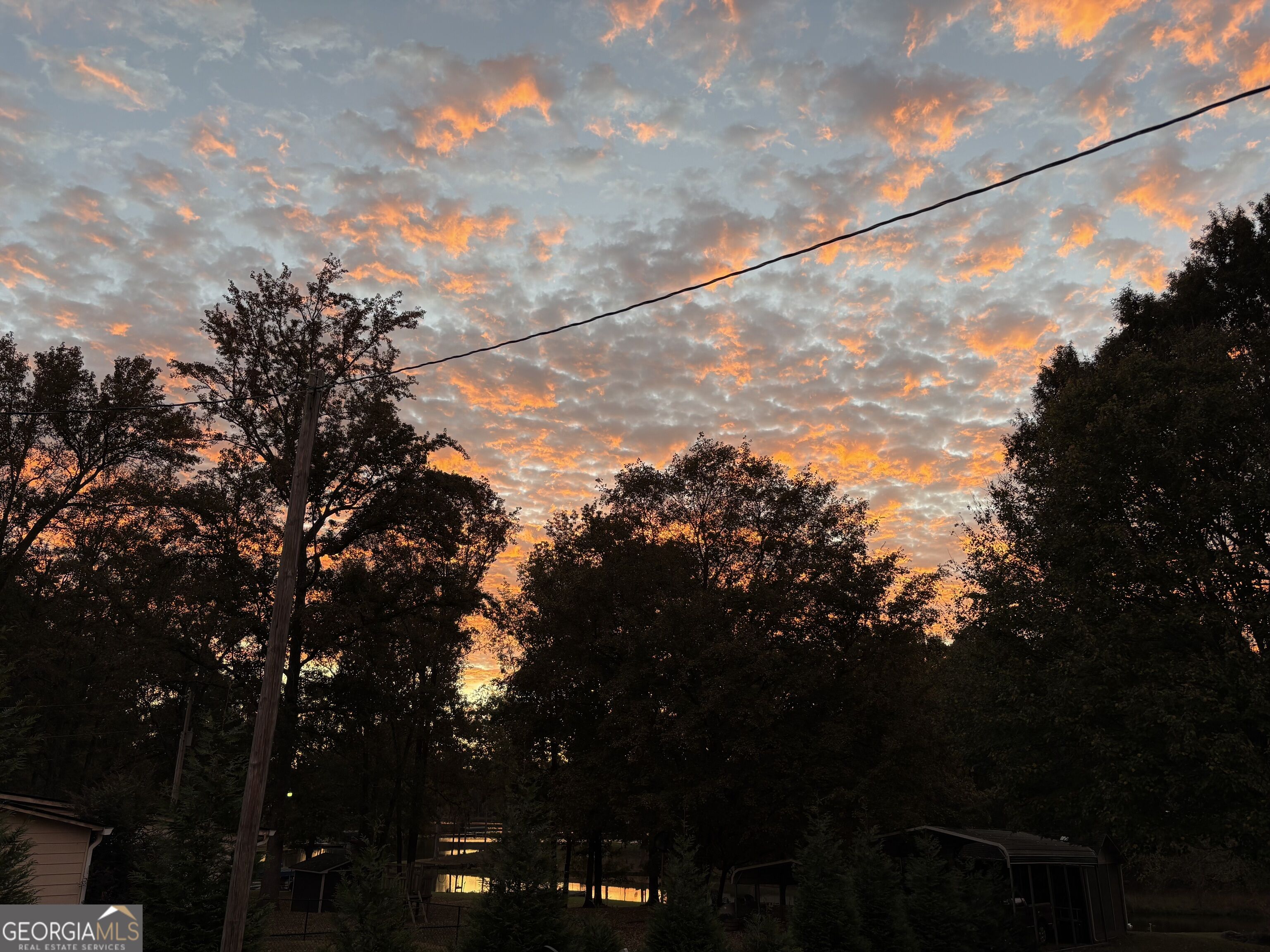 1041 Blue Springs Court Property Photo 3