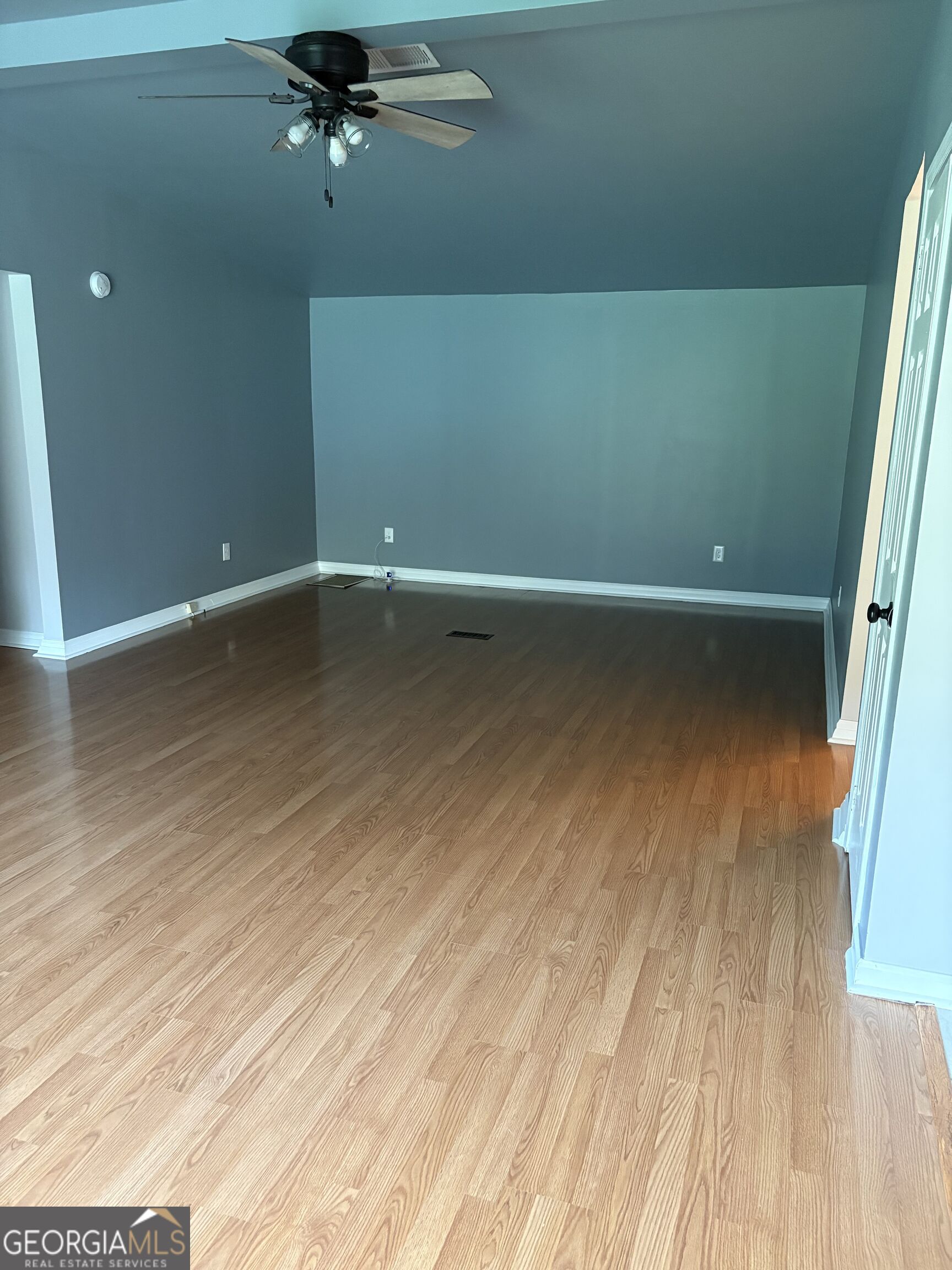 1041 Blue Springs Court Property Photo 22