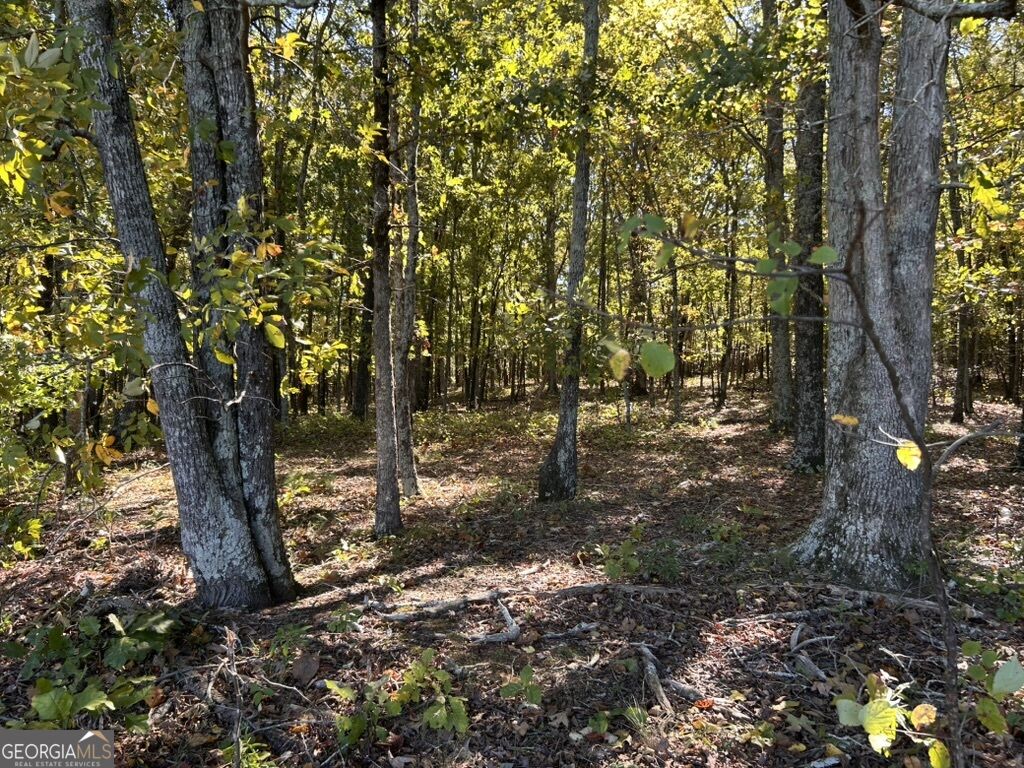 0 Arnold Dairy Farm Road Property Photo 2