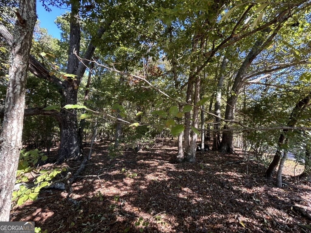 0 Arnold Dairy Farm Road Property Photo 3