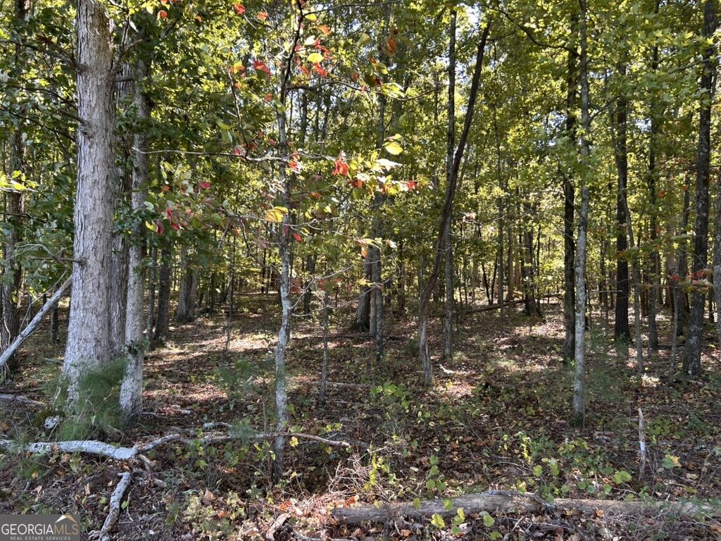 0 Arnold Dairy Farm Road Property Photo 4
